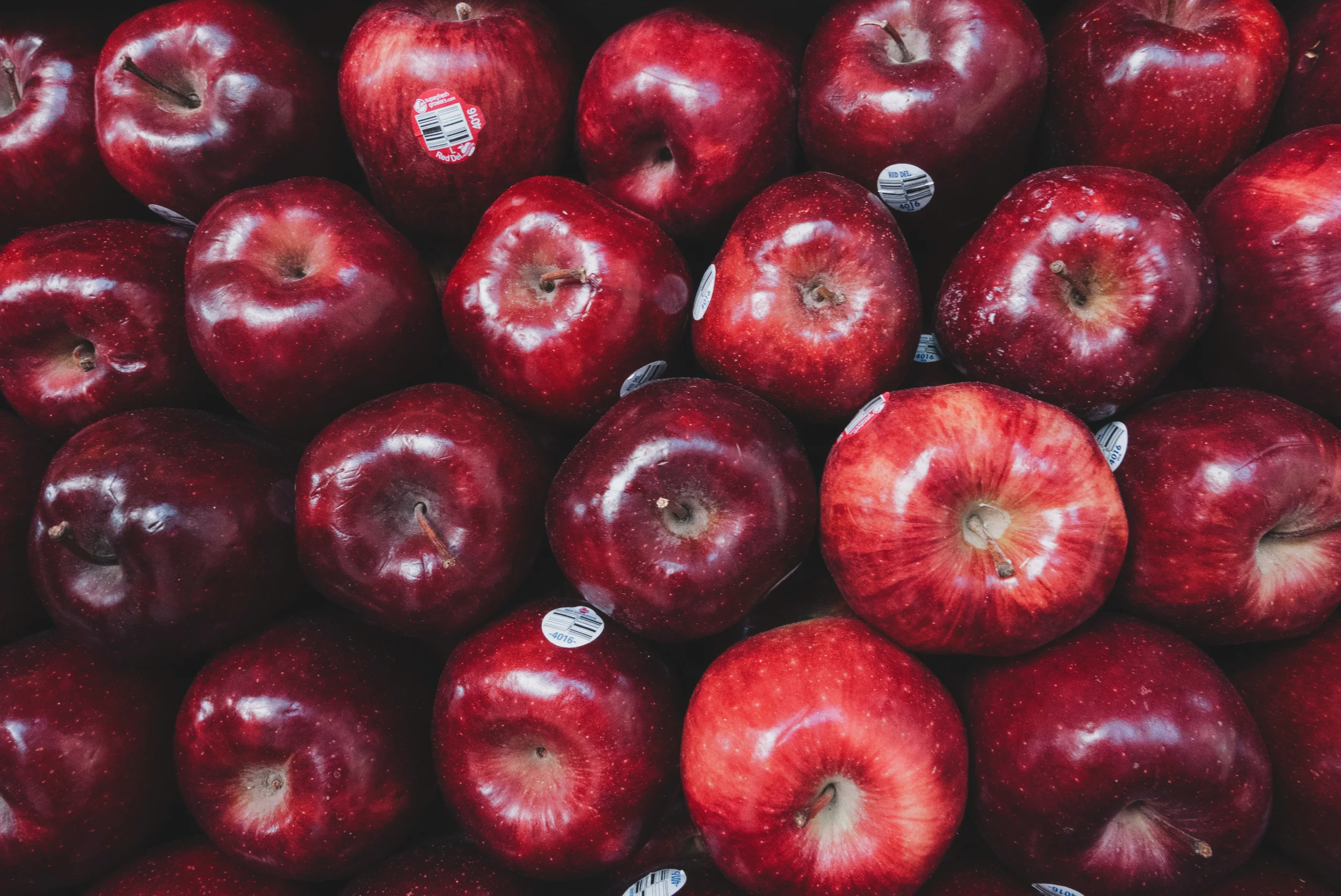 Photo Oct 17, 3 35 34 PM.jpg