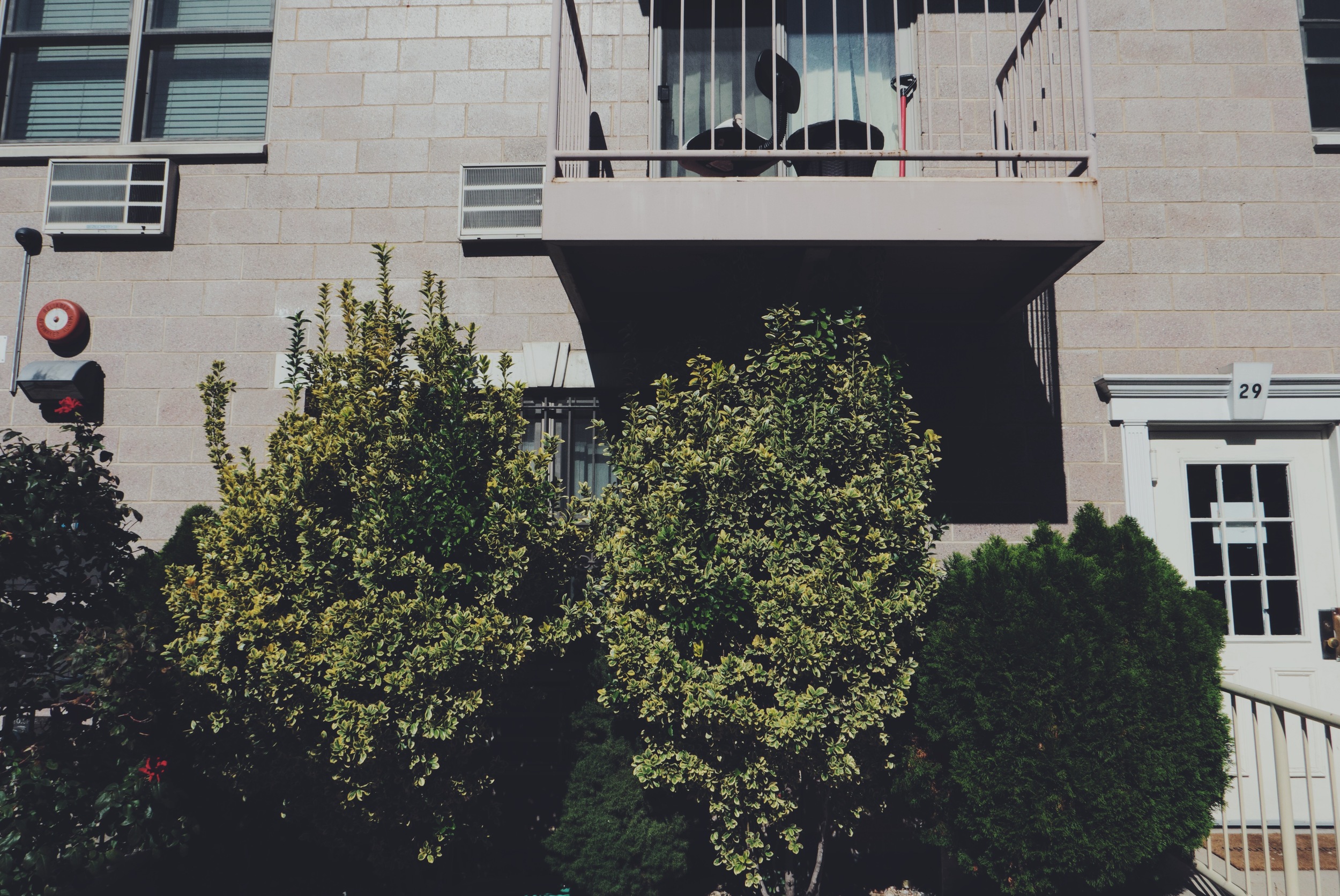 Photo Oct 15, 12 58 55 PM.jpg