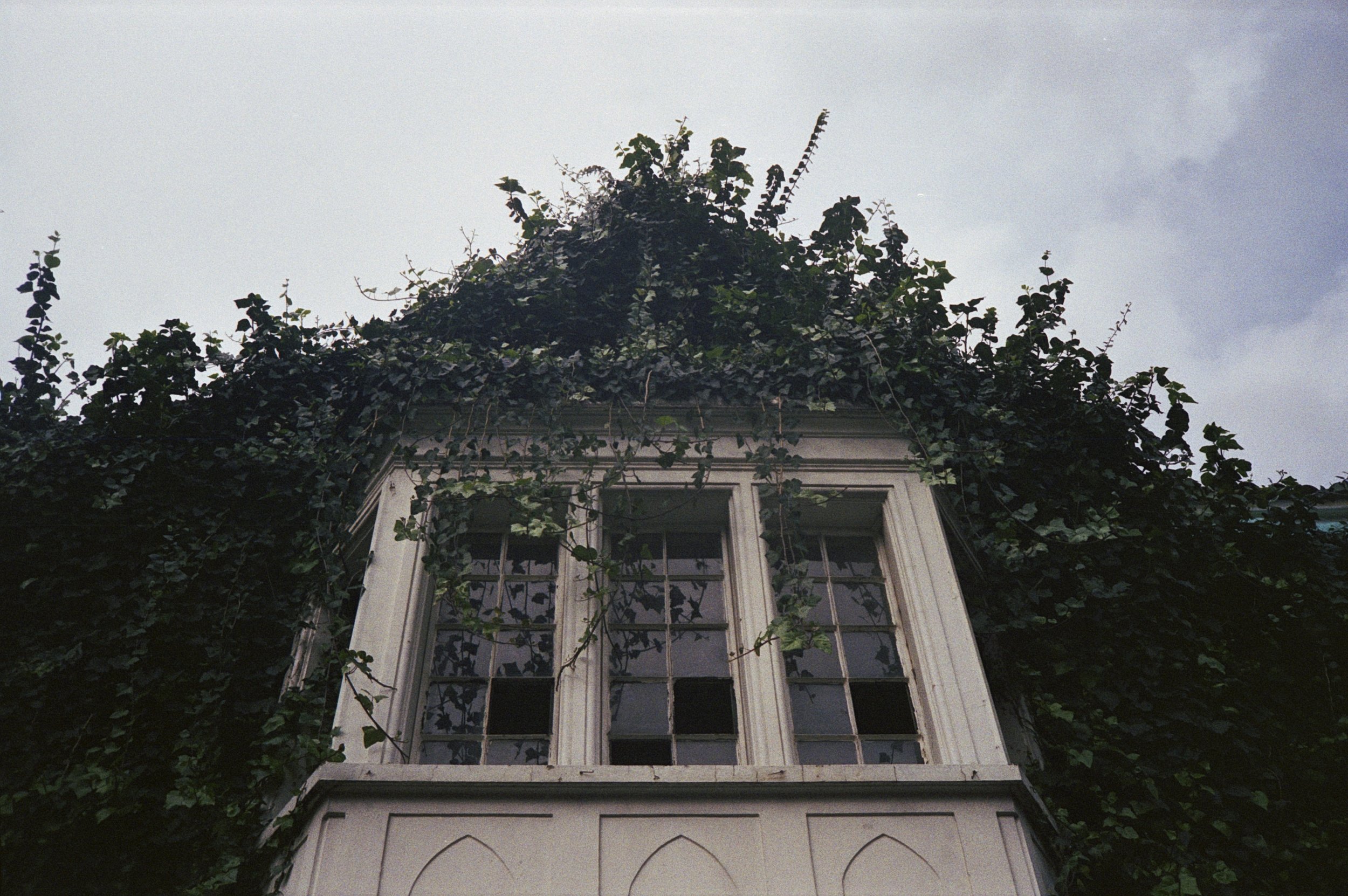 Img011.jpg