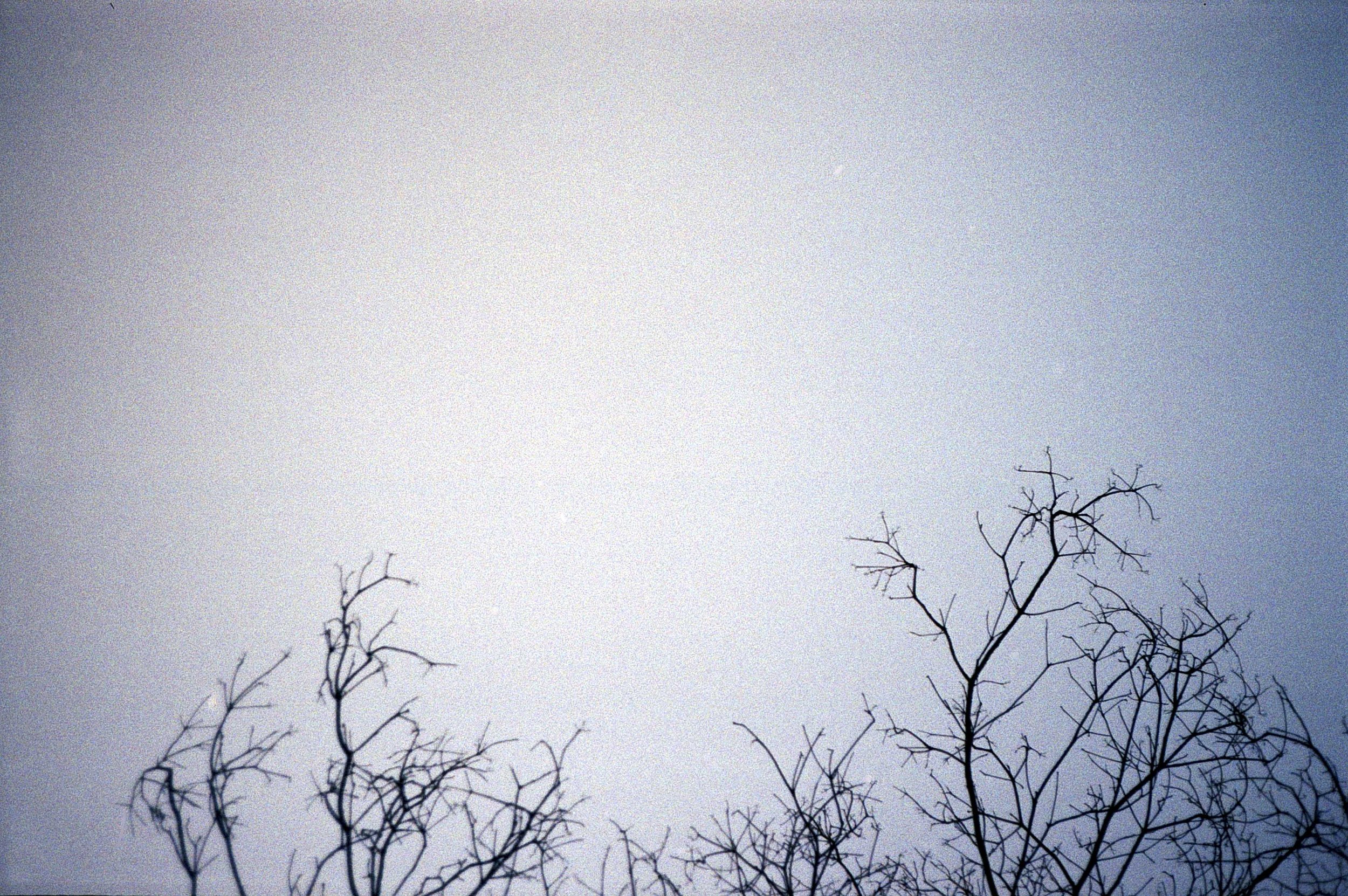 Img021.jpg