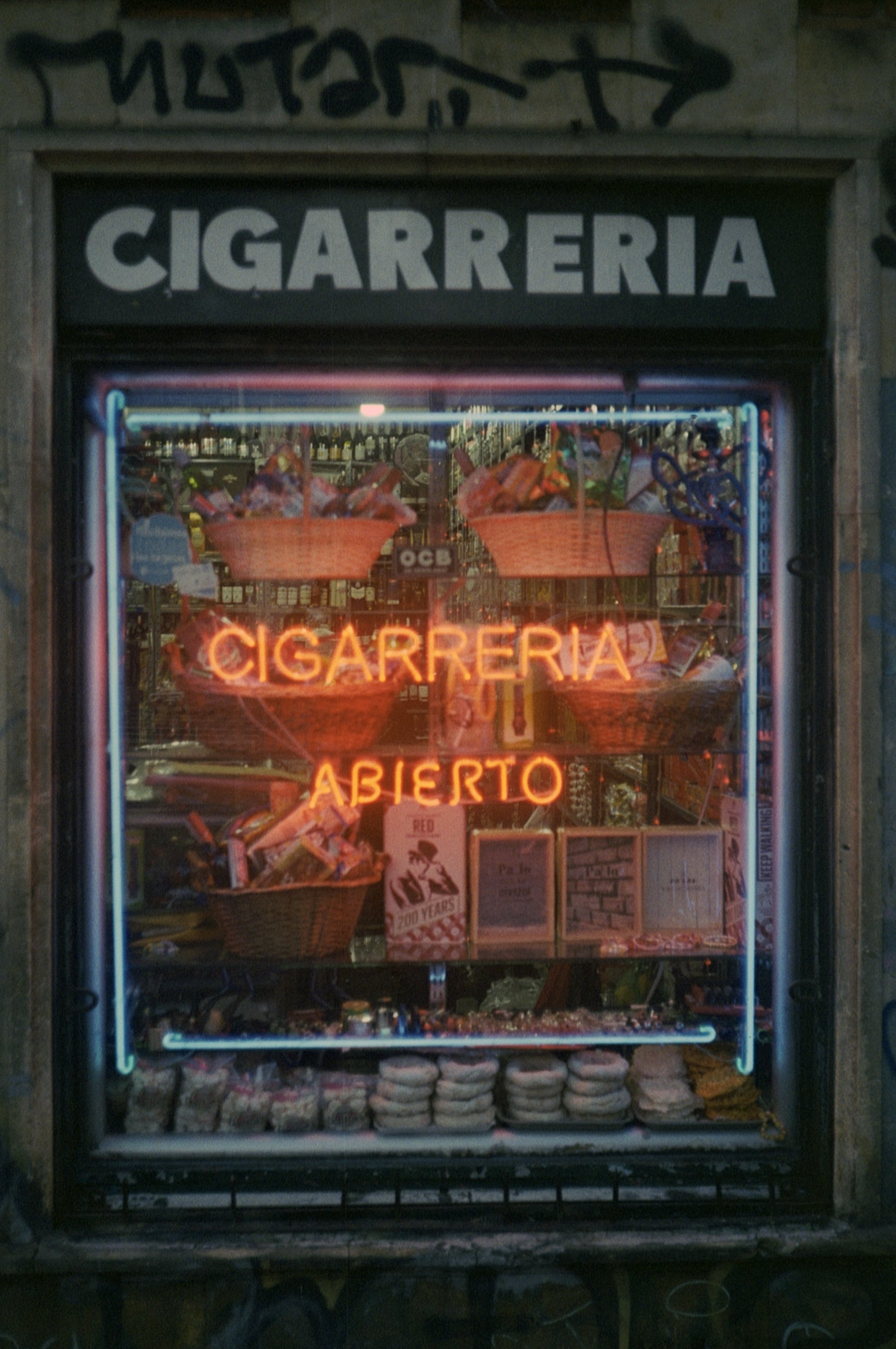 Img019_02.jpg