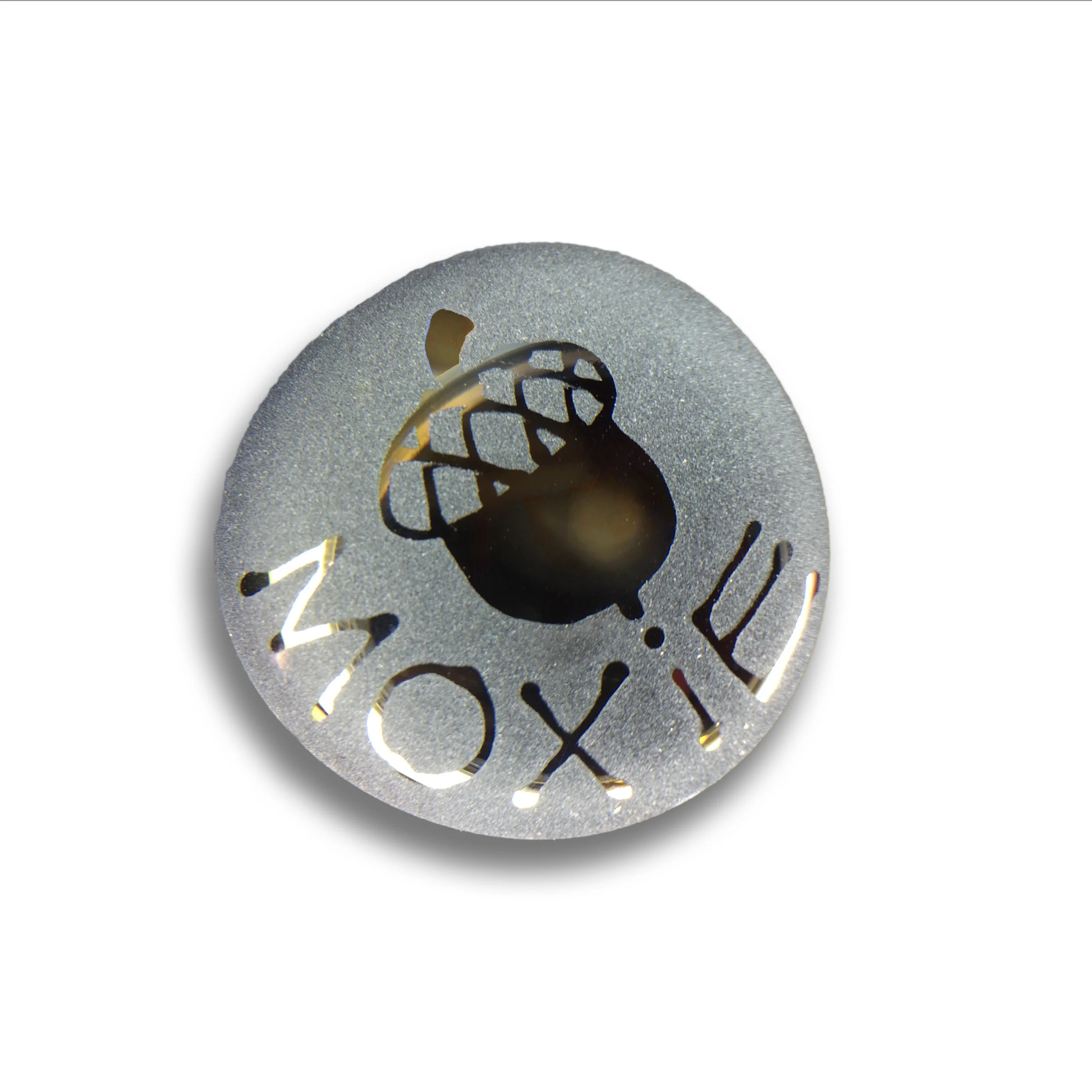 Moxie_IMG_5778 copy.jpg