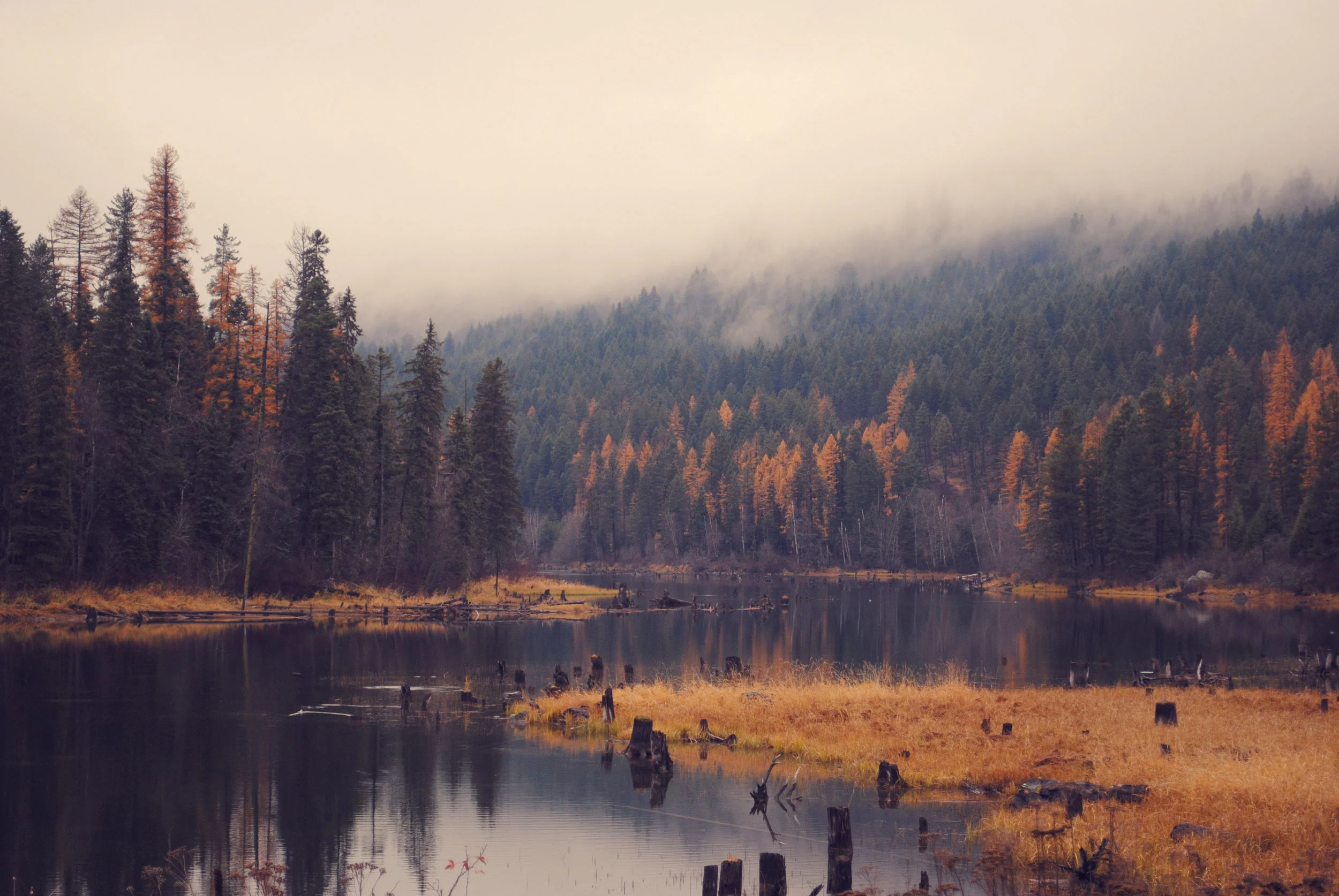 One of my favorite places I have lived during the fall, at the Swan River in Montana.