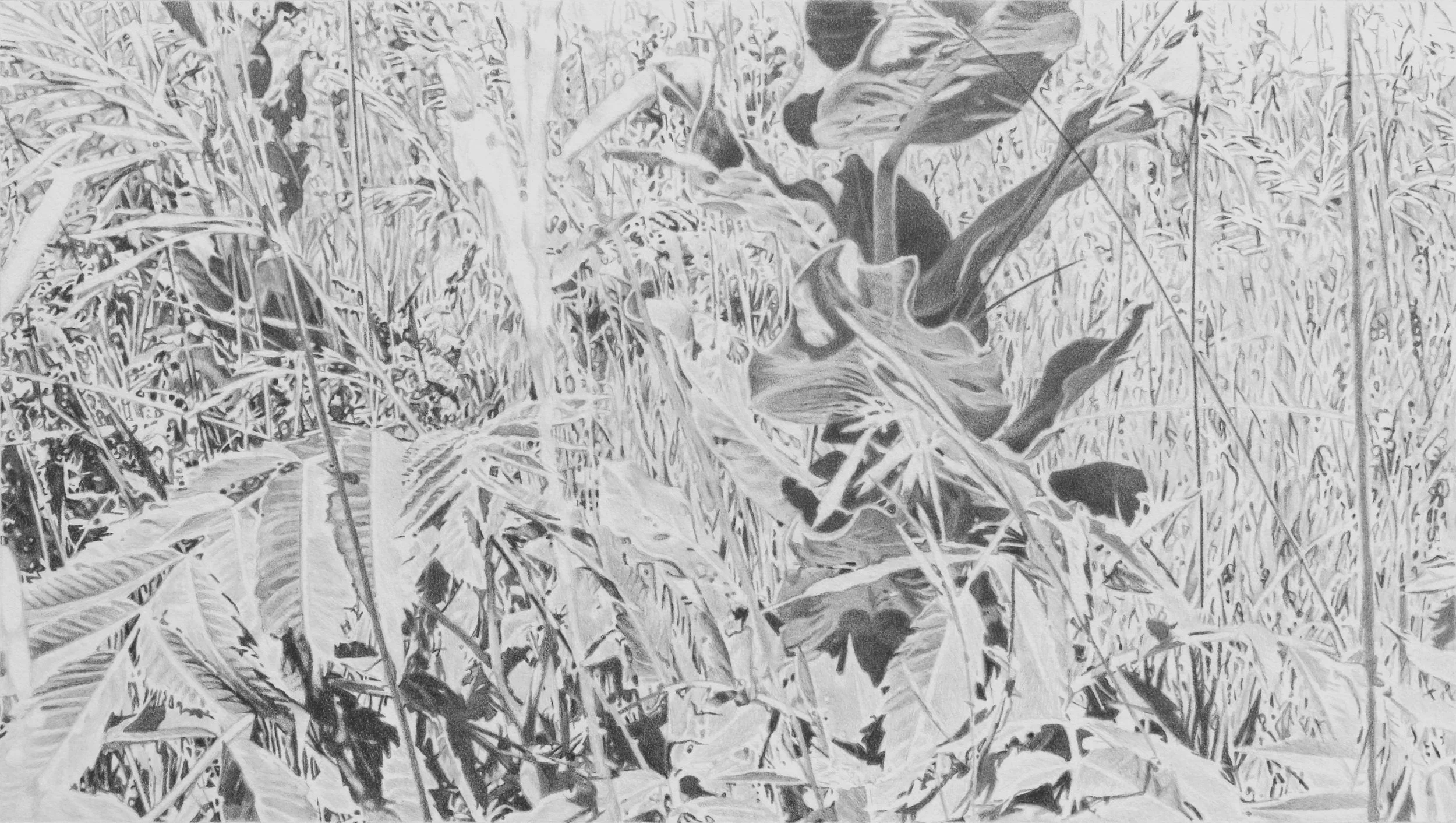 Nine Mile Prairie II