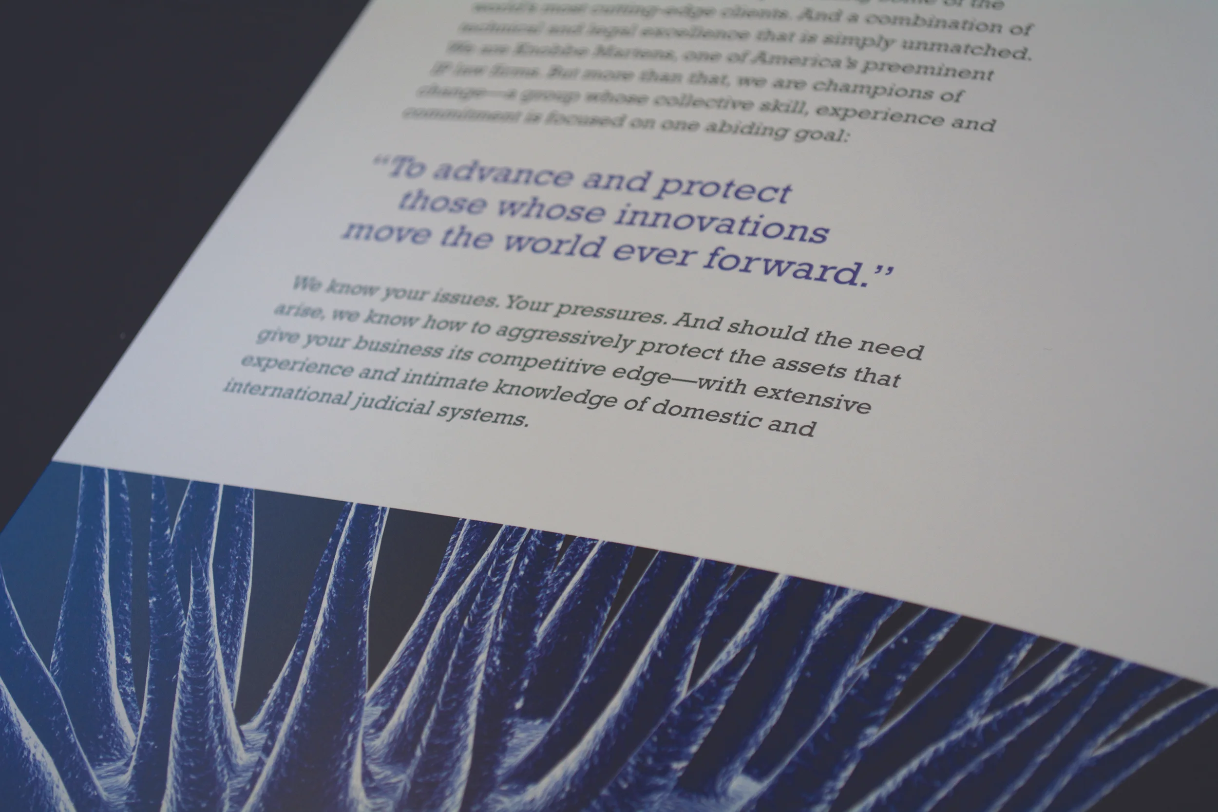 Knobbe_Brochure_Inside1b_small.jpg
