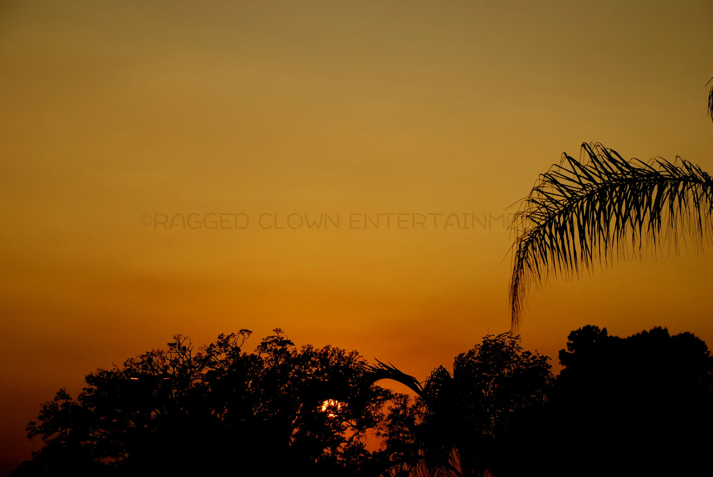 sunset louisiana2WM.jpg