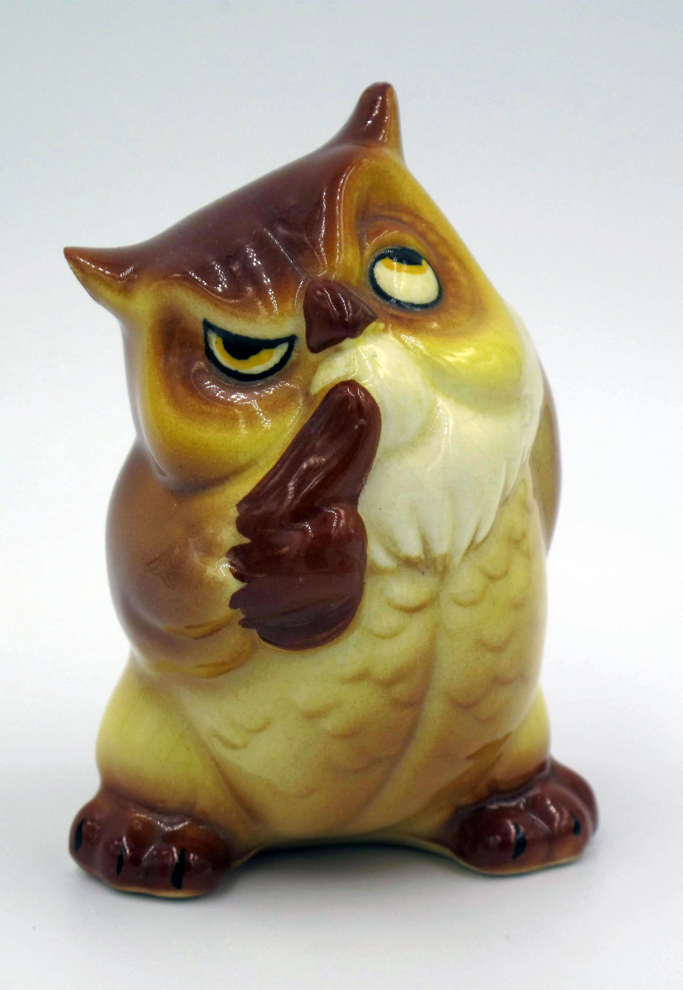 Wise Owl