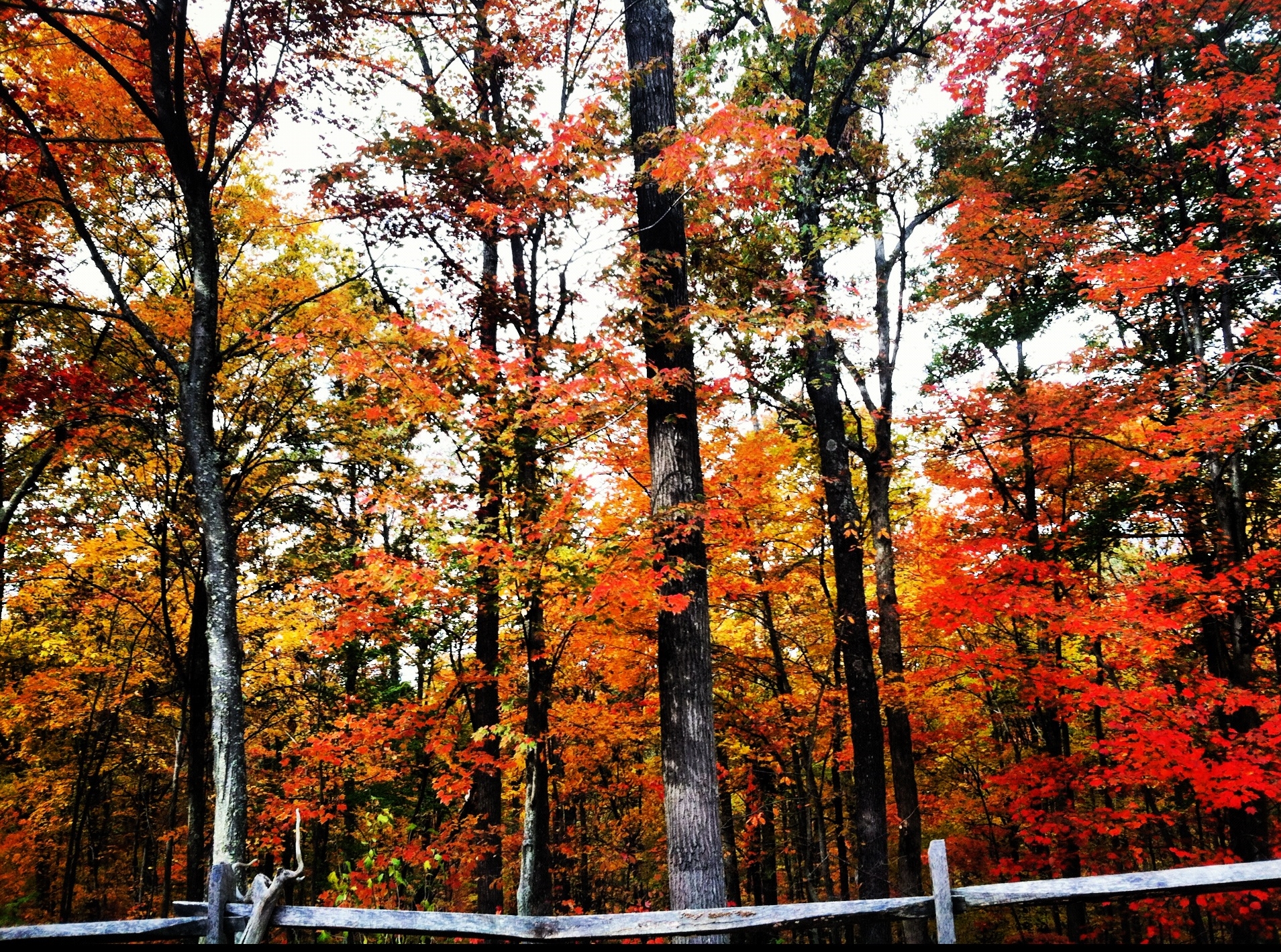 West Virginia