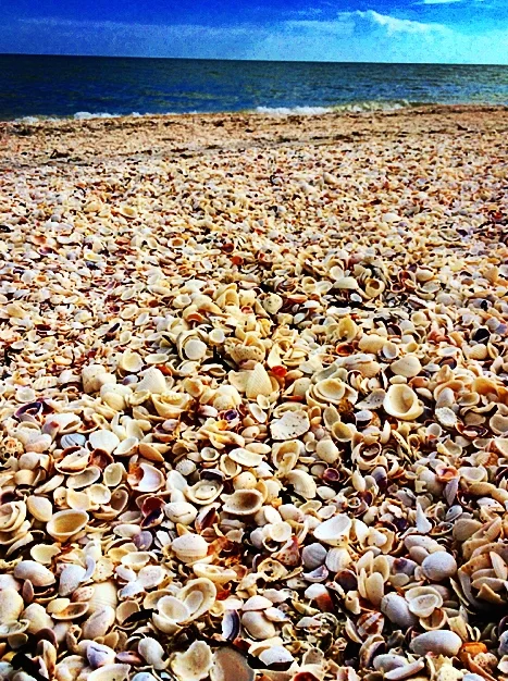 Sanibel