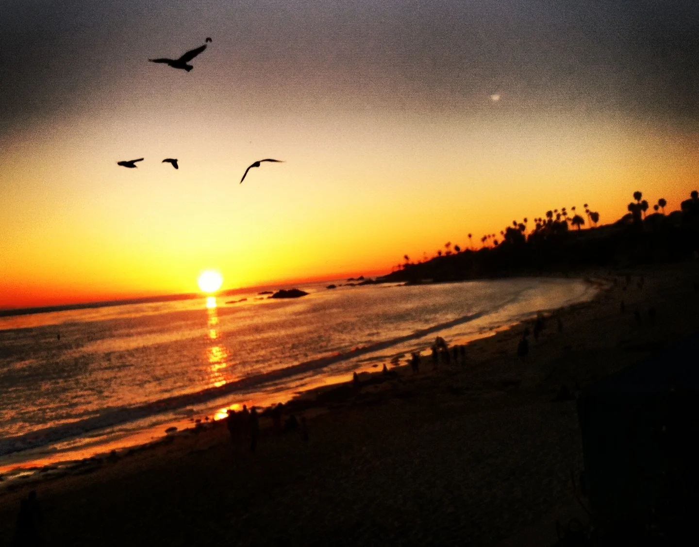 Laguna Beach