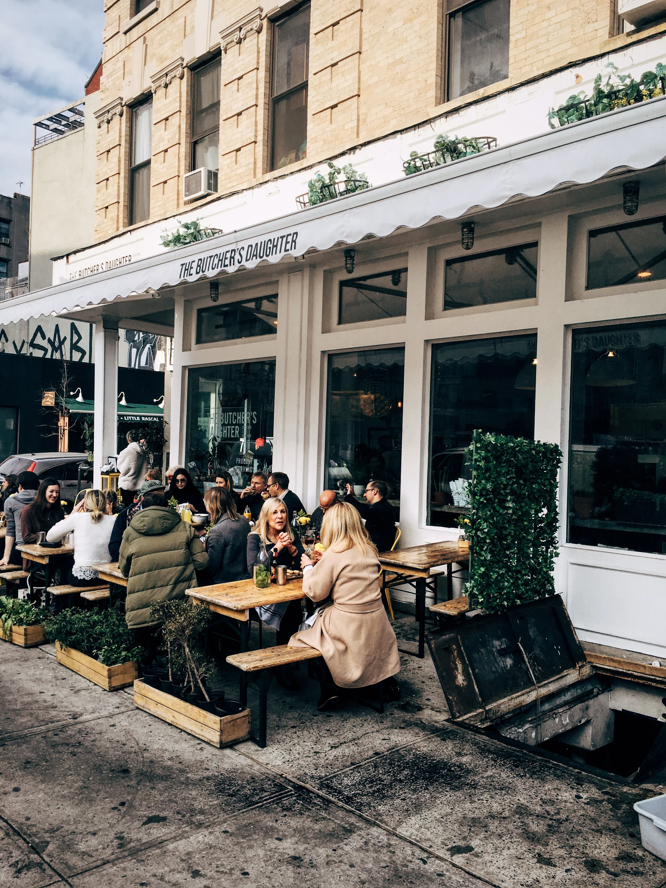 butchers_daughter_outdoor_seating.jpg