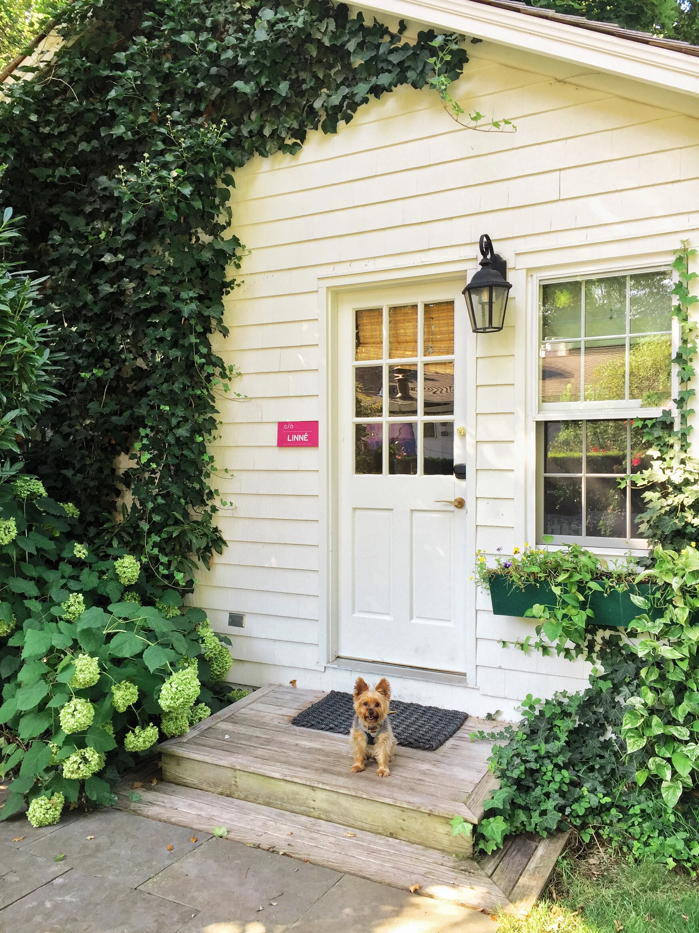 Sorry guys, this little cutie doesn't come with the room. However The Maidestone is pet friendly which gets the ultimate plus from us.