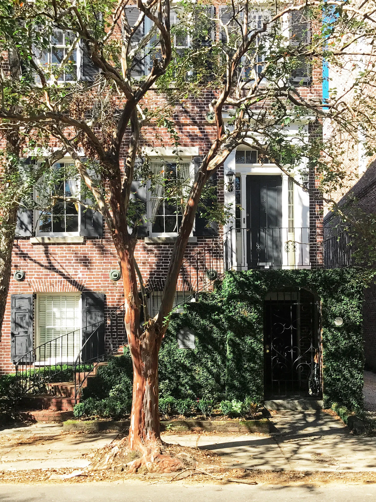 The Perfect Day in Charleston