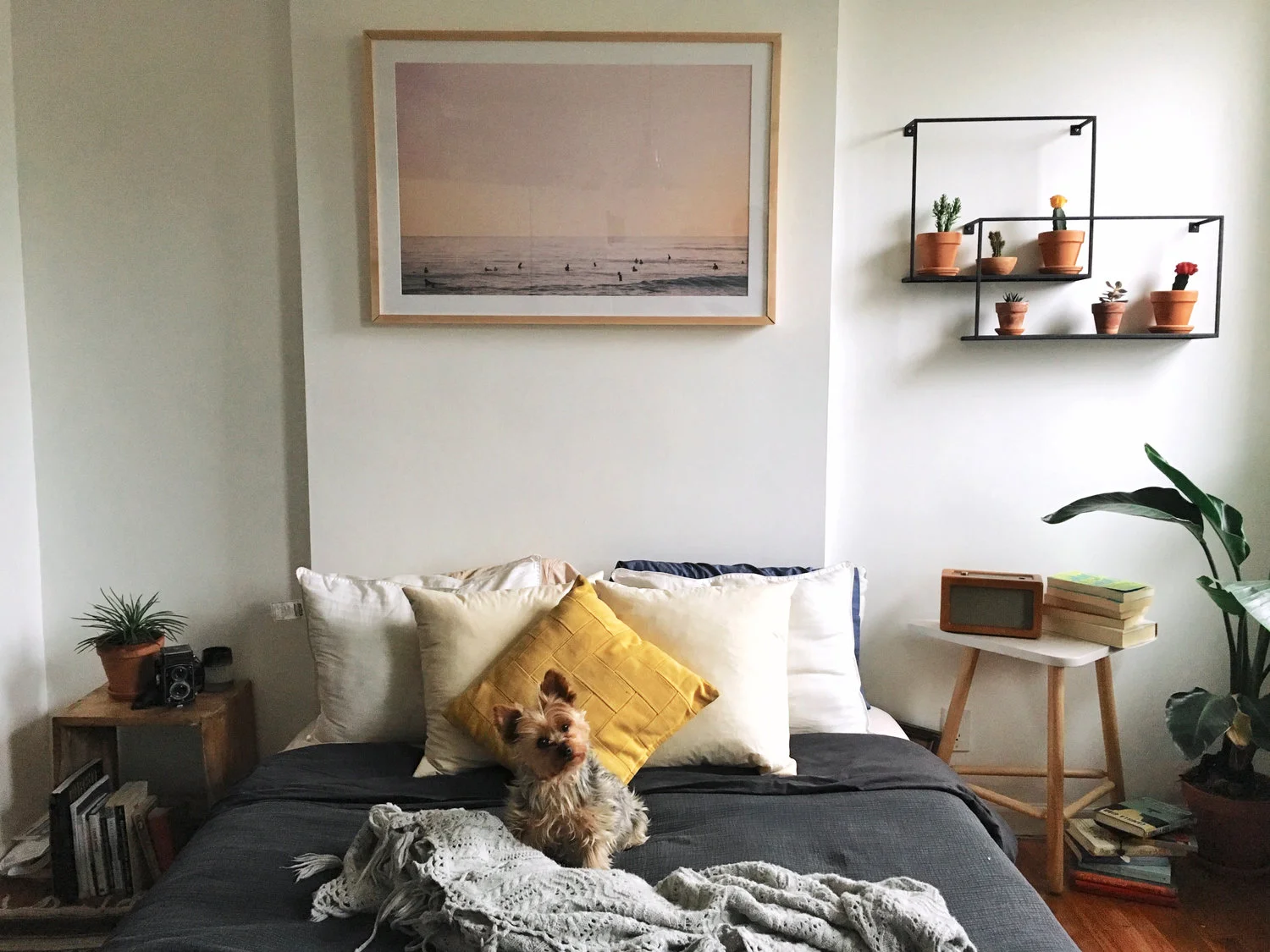 The Place We Call Home w / Air Weave USA