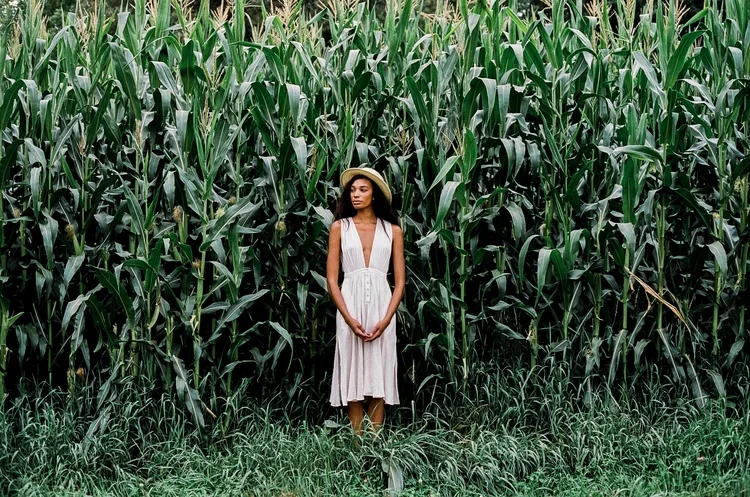 West Kill and Calicoon, NY on Film