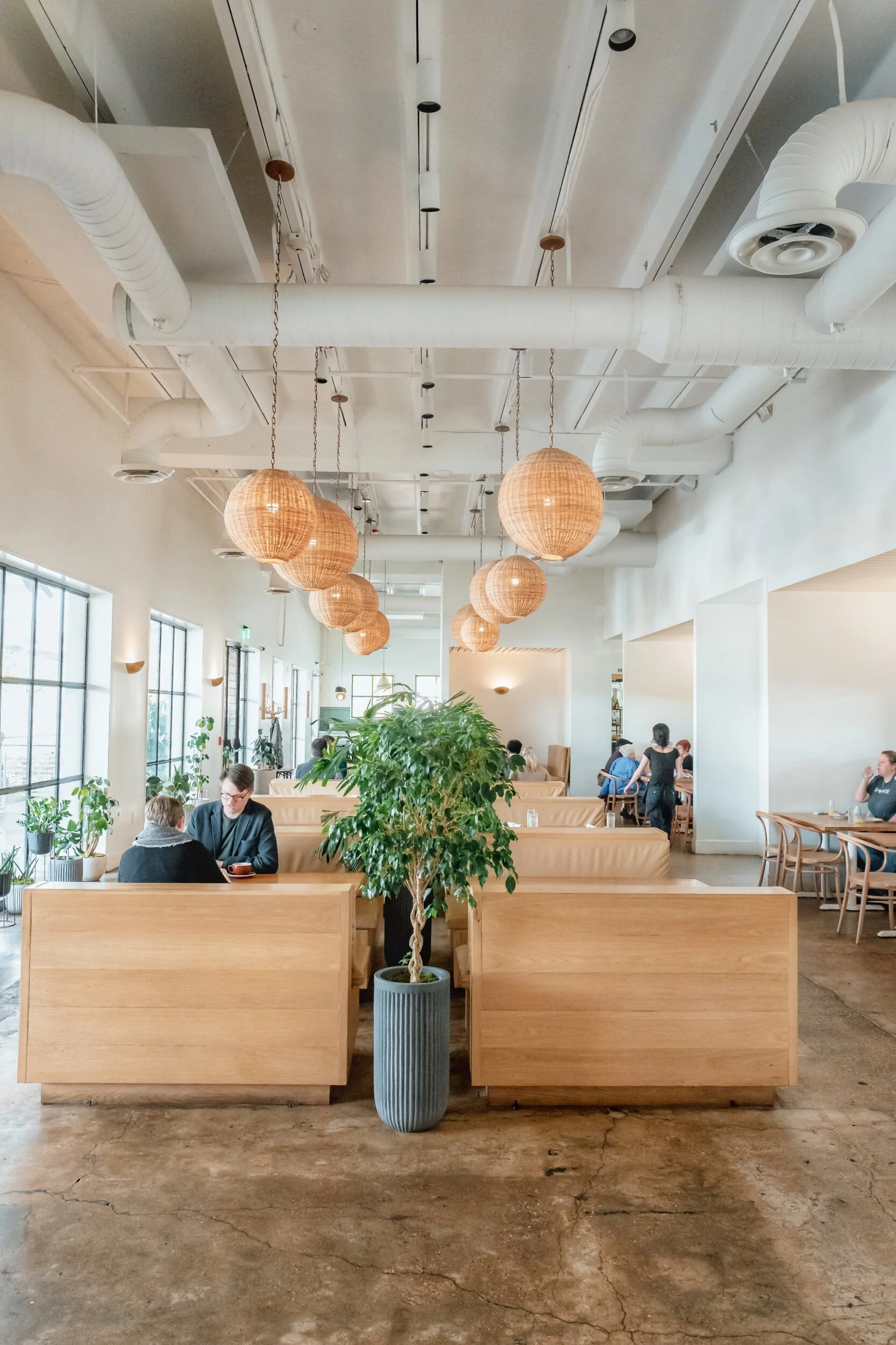 Photo Dec 21, 11 34 03 AM.jpeg