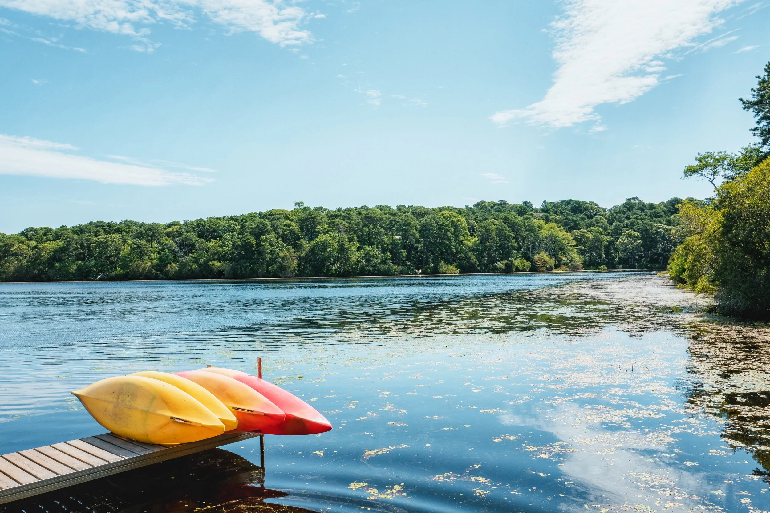 photo aug 02, 9 42 10 am.jpeg