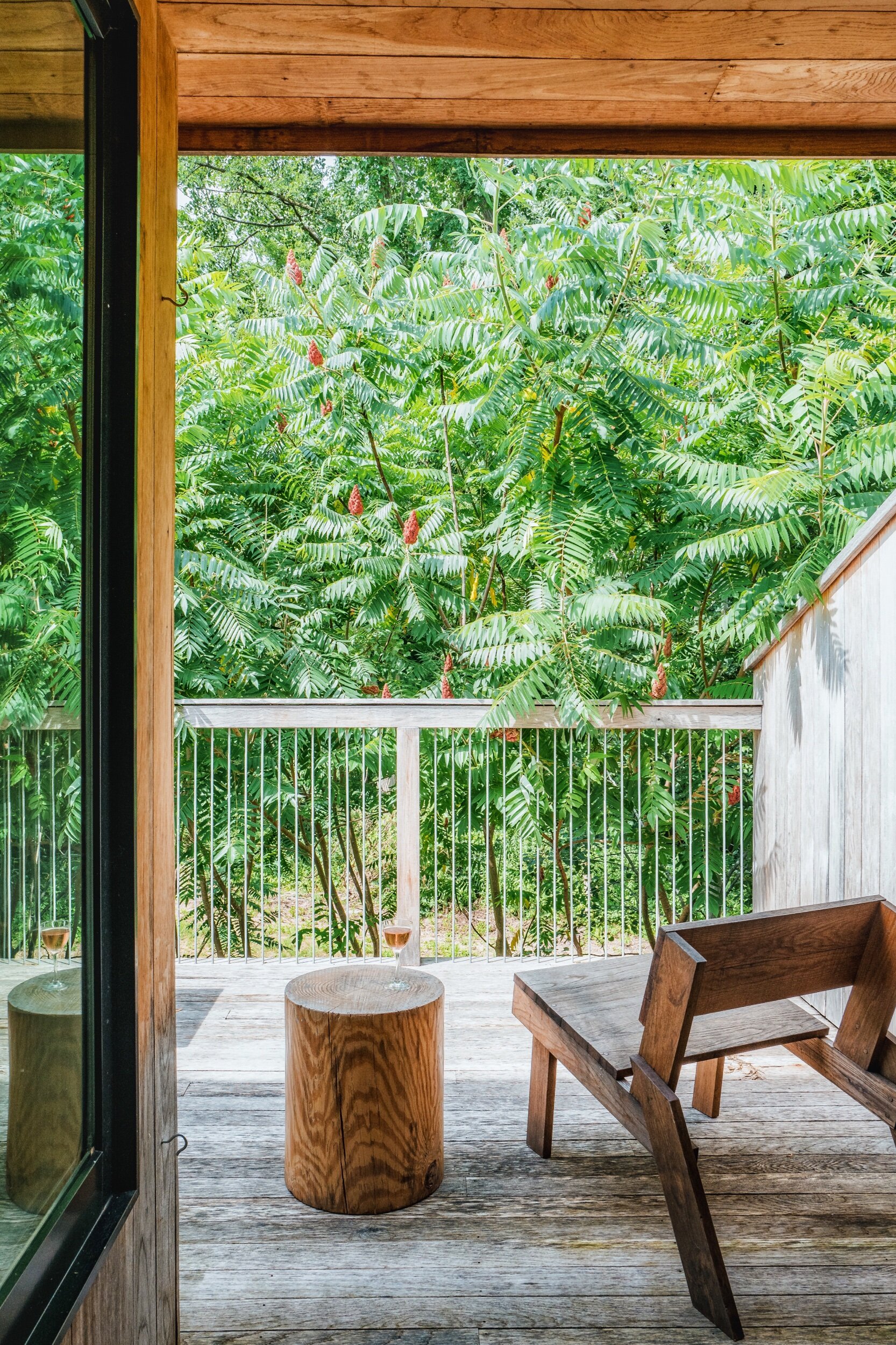 photo jul 26, 2 14 40 pm.jpeg