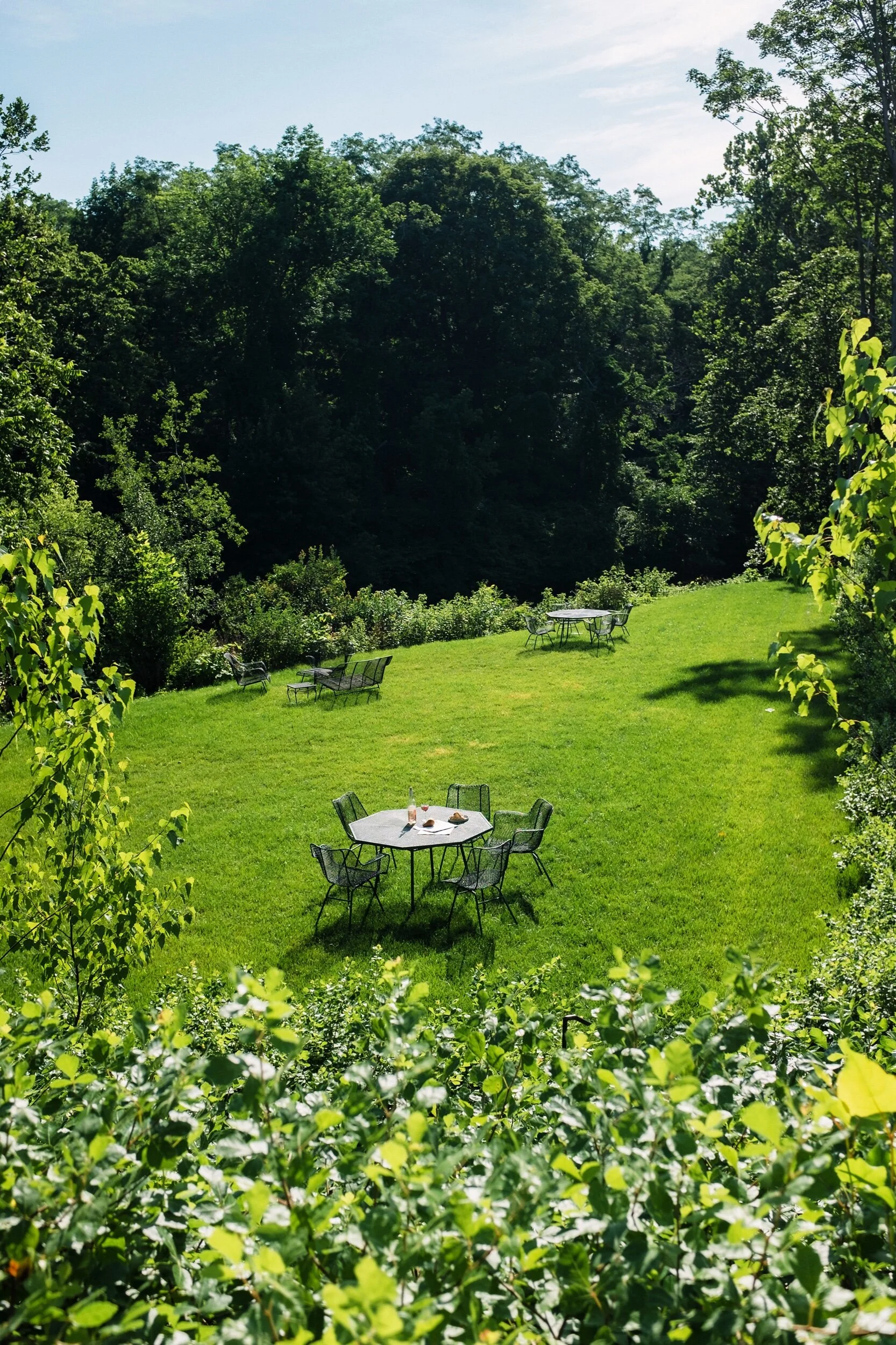 photo jul 26, 9 06 00 am.jpeg