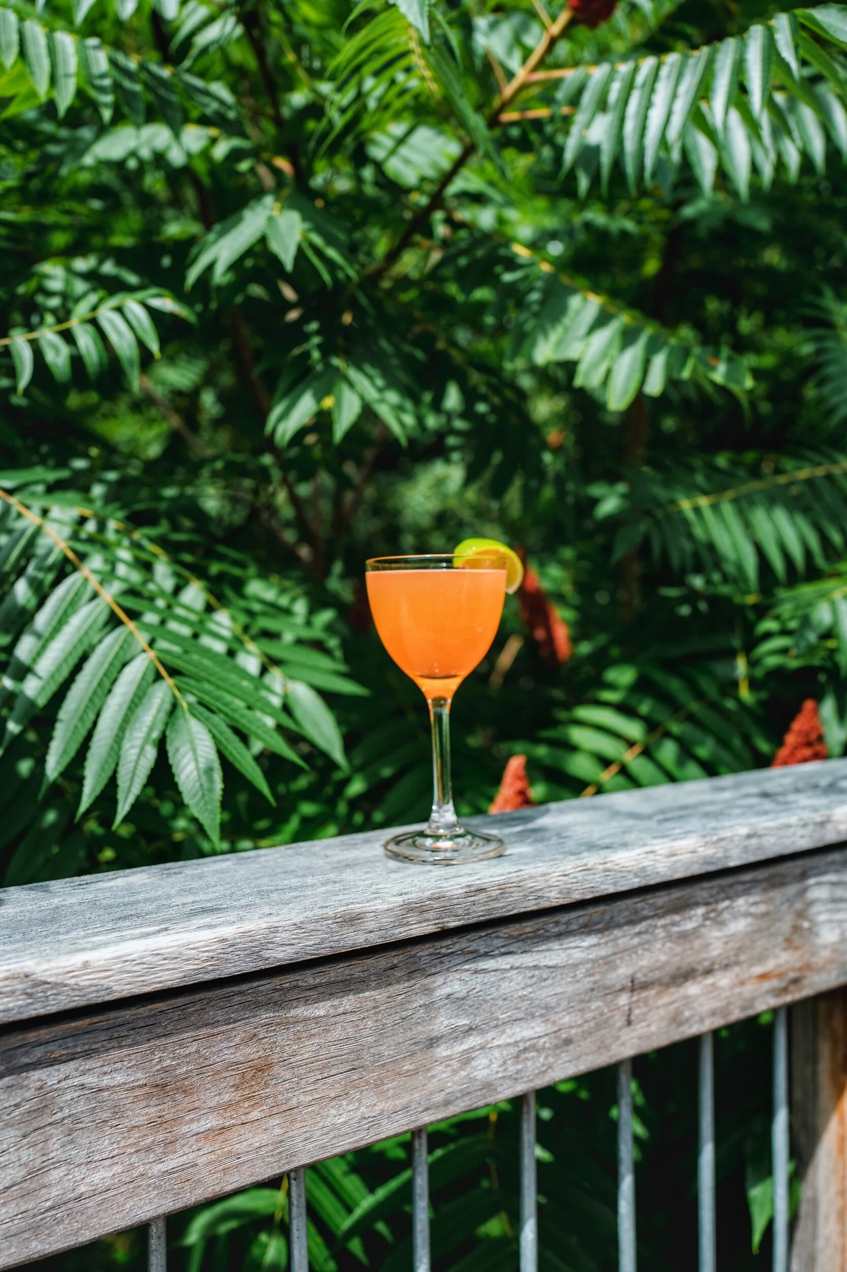 photo jul 24, 1 50 08 pm.jpeg