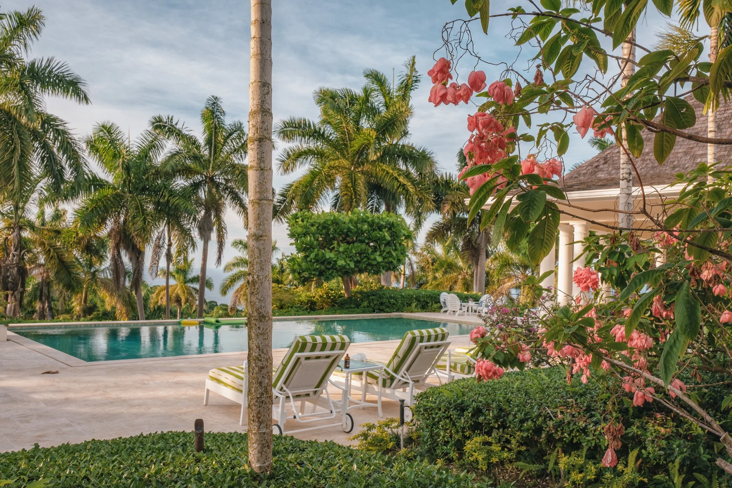 photo dec 01, 5 36 02 pm.jpeg