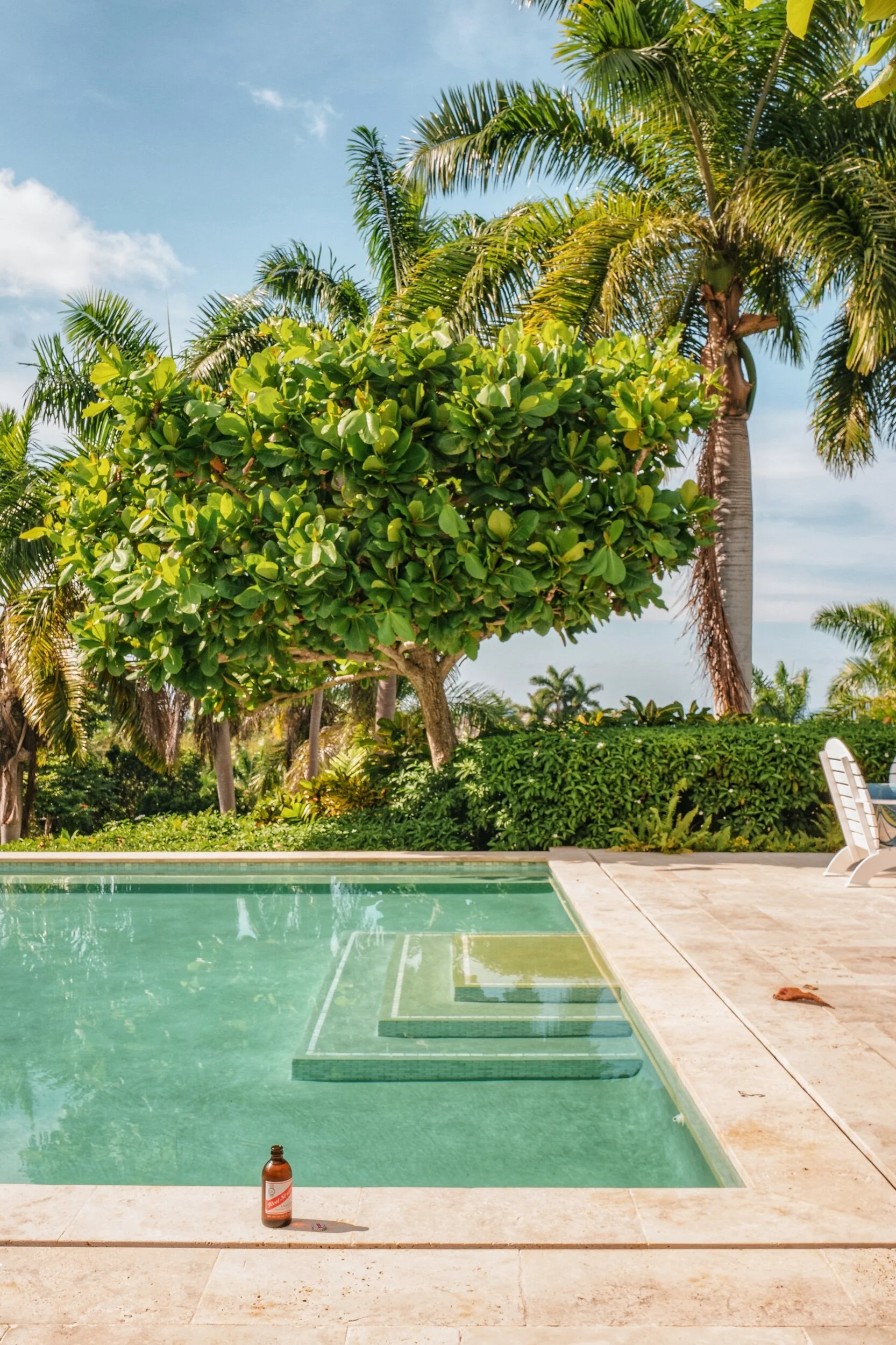 photo dec 01, 2 58 20 pm.jpeg