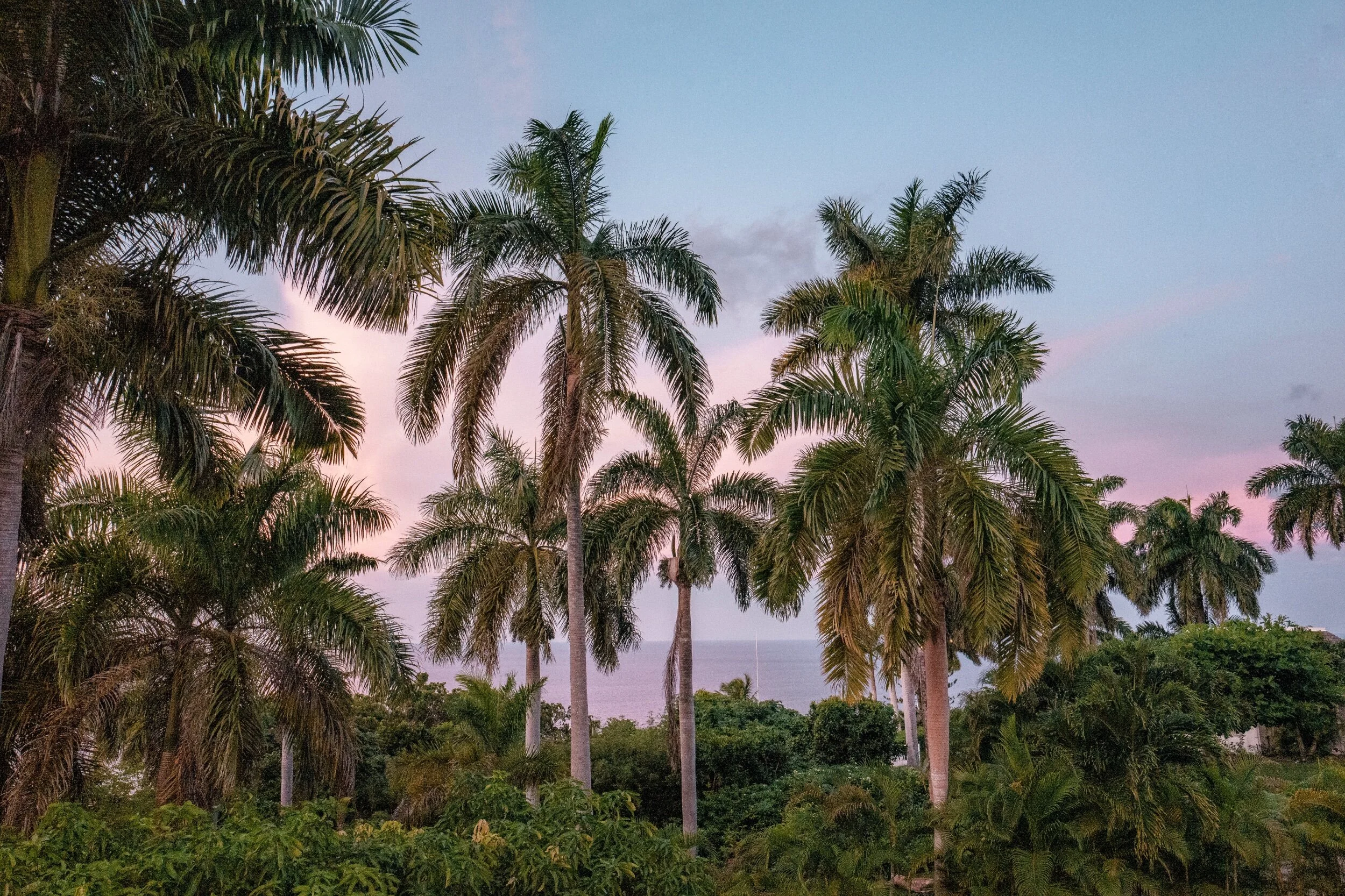 photo dec 01, 6 41 39 pm.jpeg