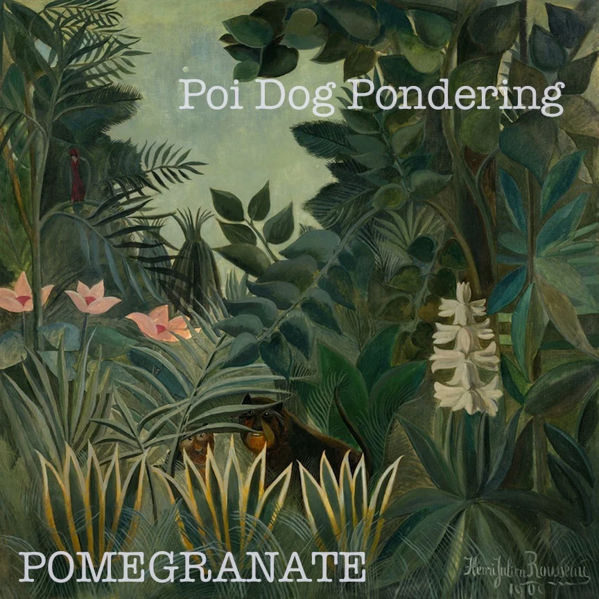 Poi-dog-pondering-pomegranate.jpg