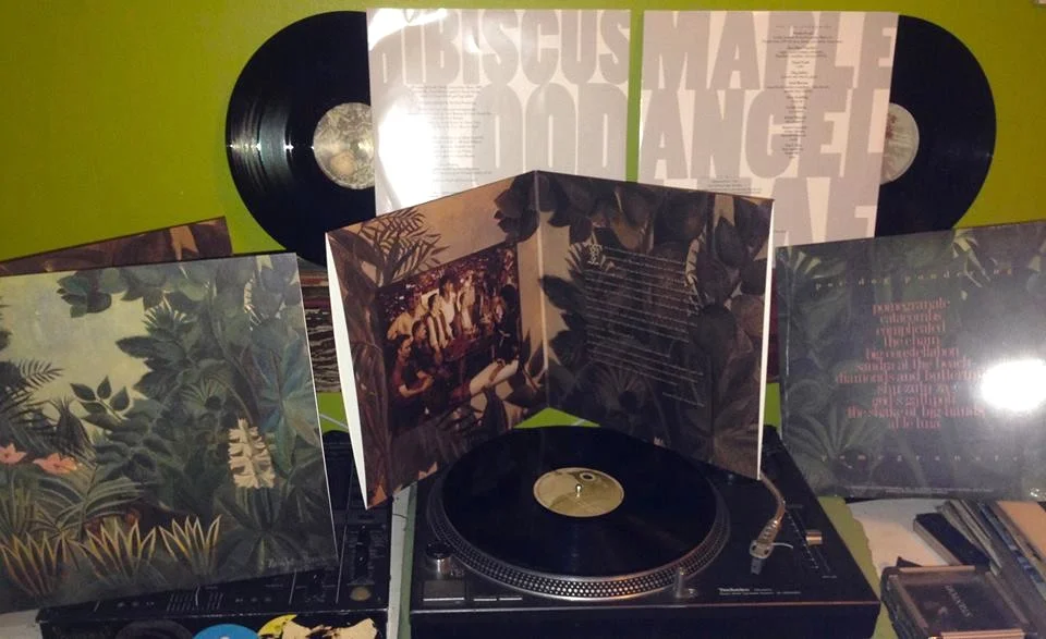 POI-DOG-PONDERING-POMEGRANATE-VINYL.jpg