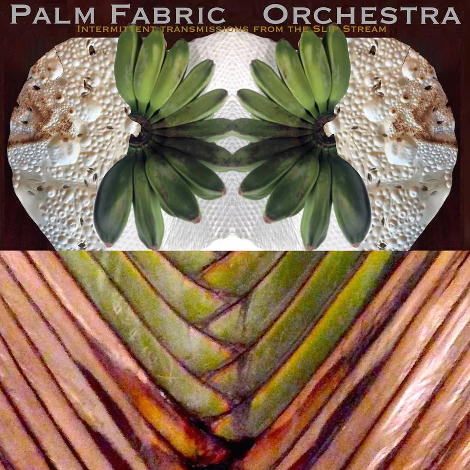 Palm Fabric Orchestra 2.jpg