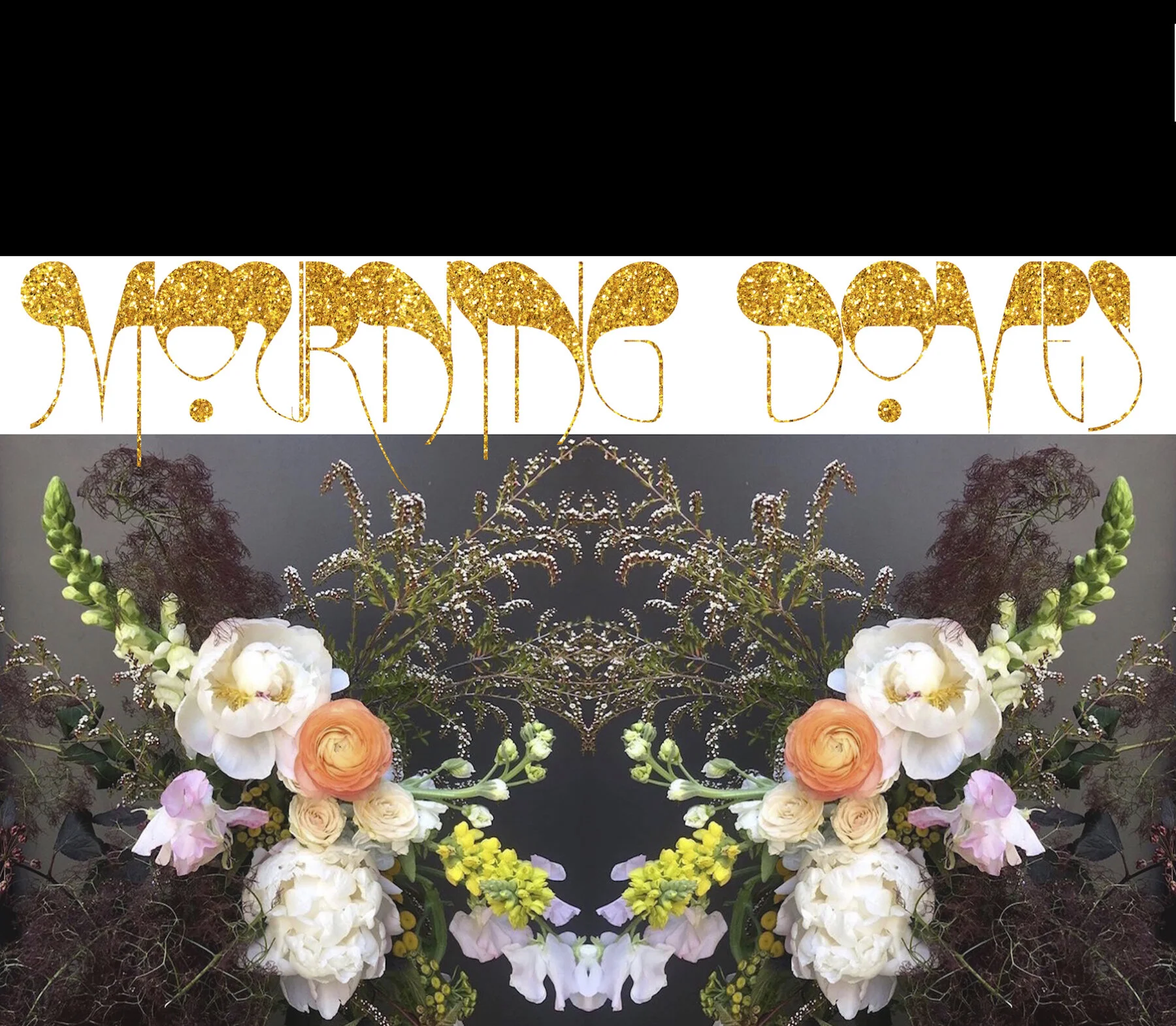 Mourning Doves art idea Puma photo 2 FQO-bri work2-d2 copy.jpg