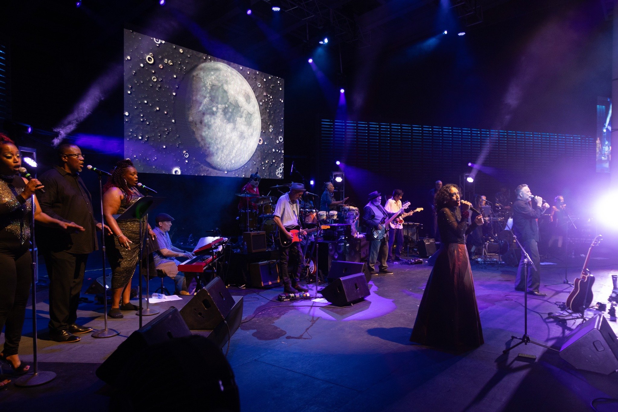 poi dog pondering 2024 Matt Charmichael.jpg