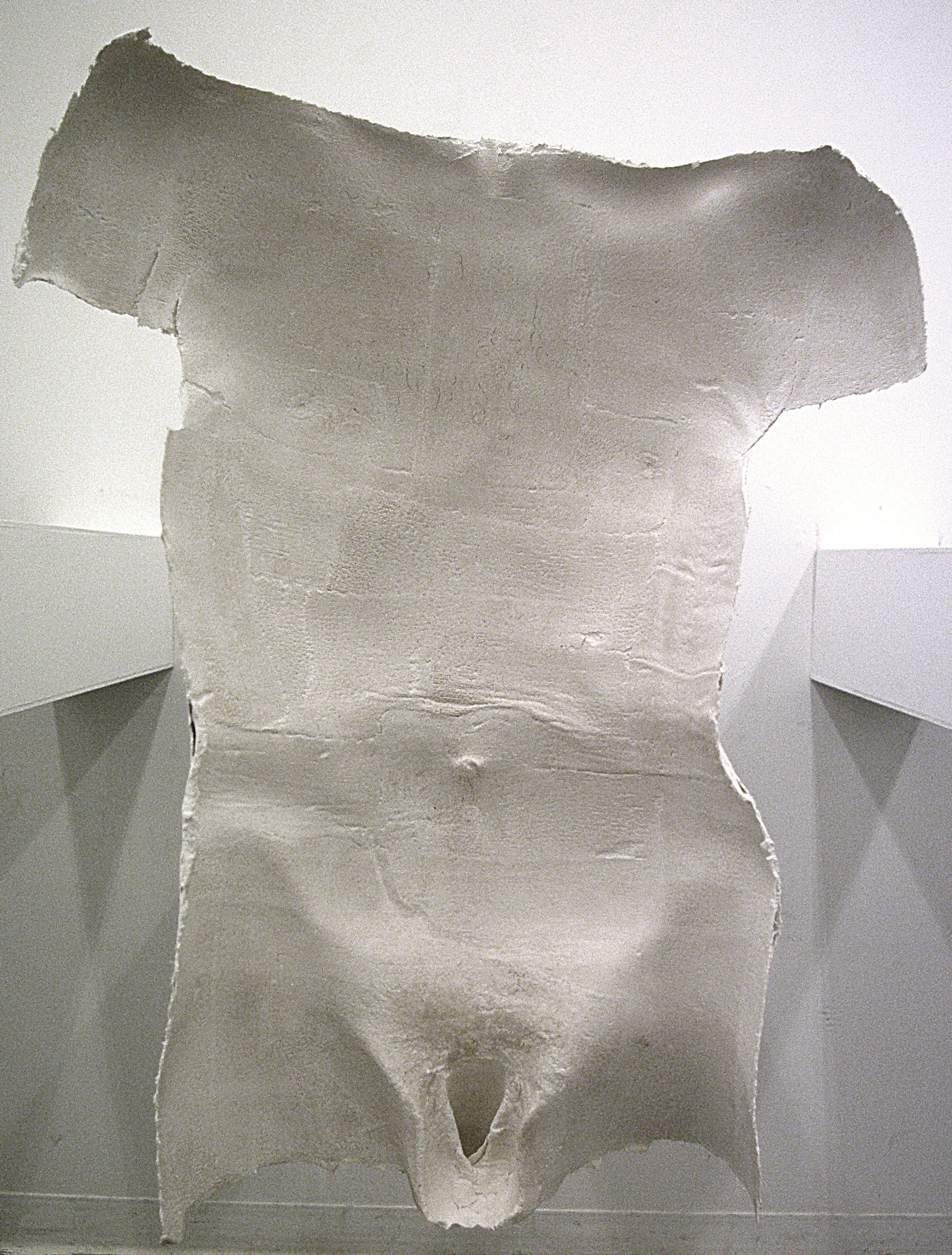 Torso.JPG