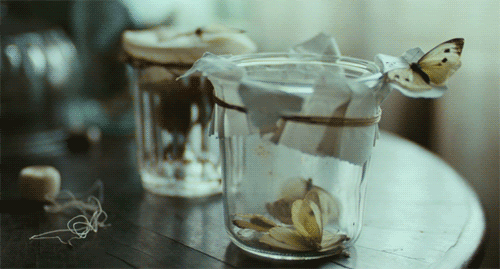 BrightStar_Butterfly.gif
