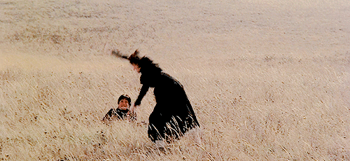 DaysOfHeaven_Cartwheel.gif