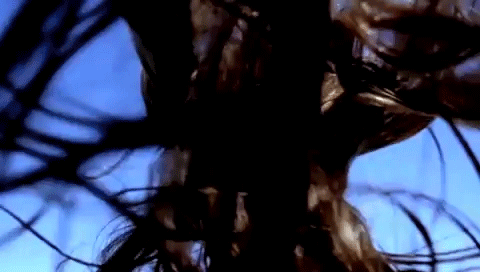 DivingBellAndTheButterfly-3.gif