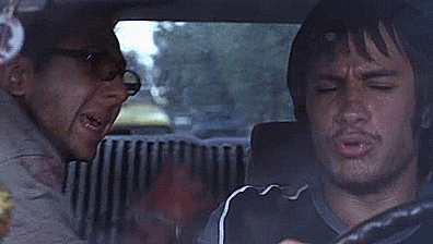 AmoresPerros-1.gif