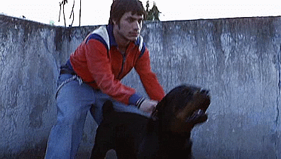 AmoresPerros-3.gif