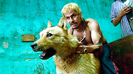 AmoresPerros-5.gif
