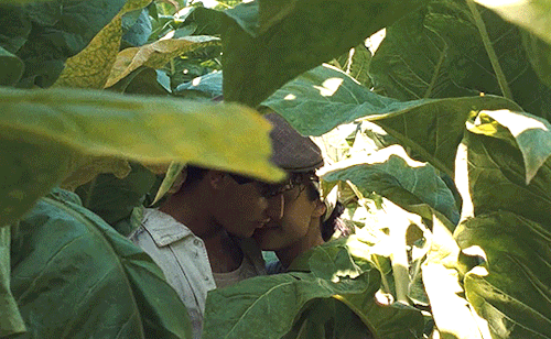 HappyAsLazzaro-1.gif