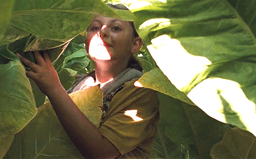 HappyAsLazzaro-3.gif