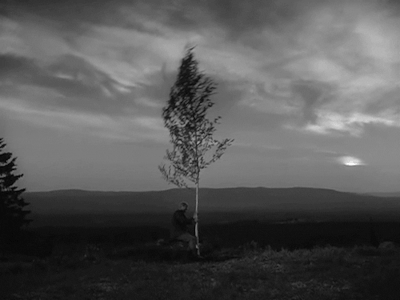TheVirginSpring-2.gif