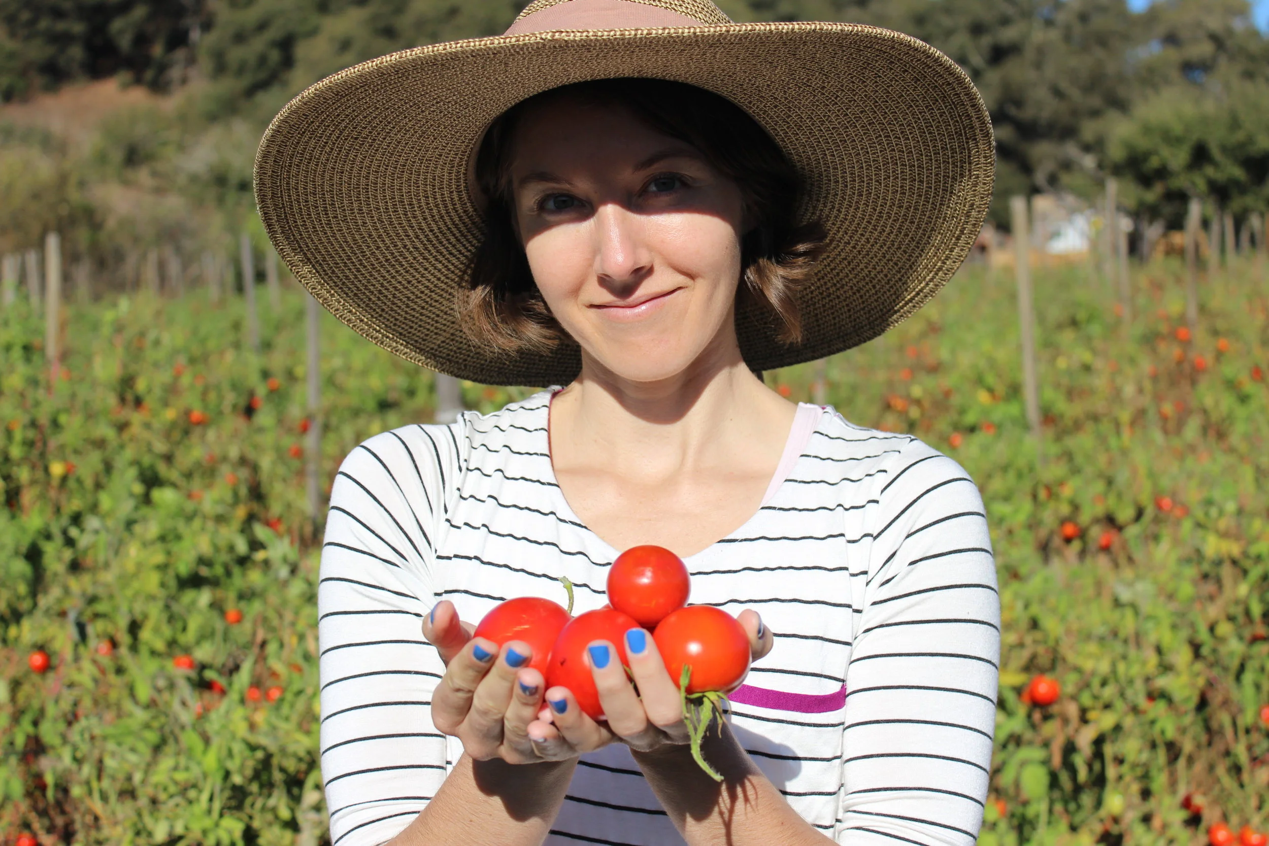 The Queen Of All Tomatoes: Early Girls from Live Earth Farm