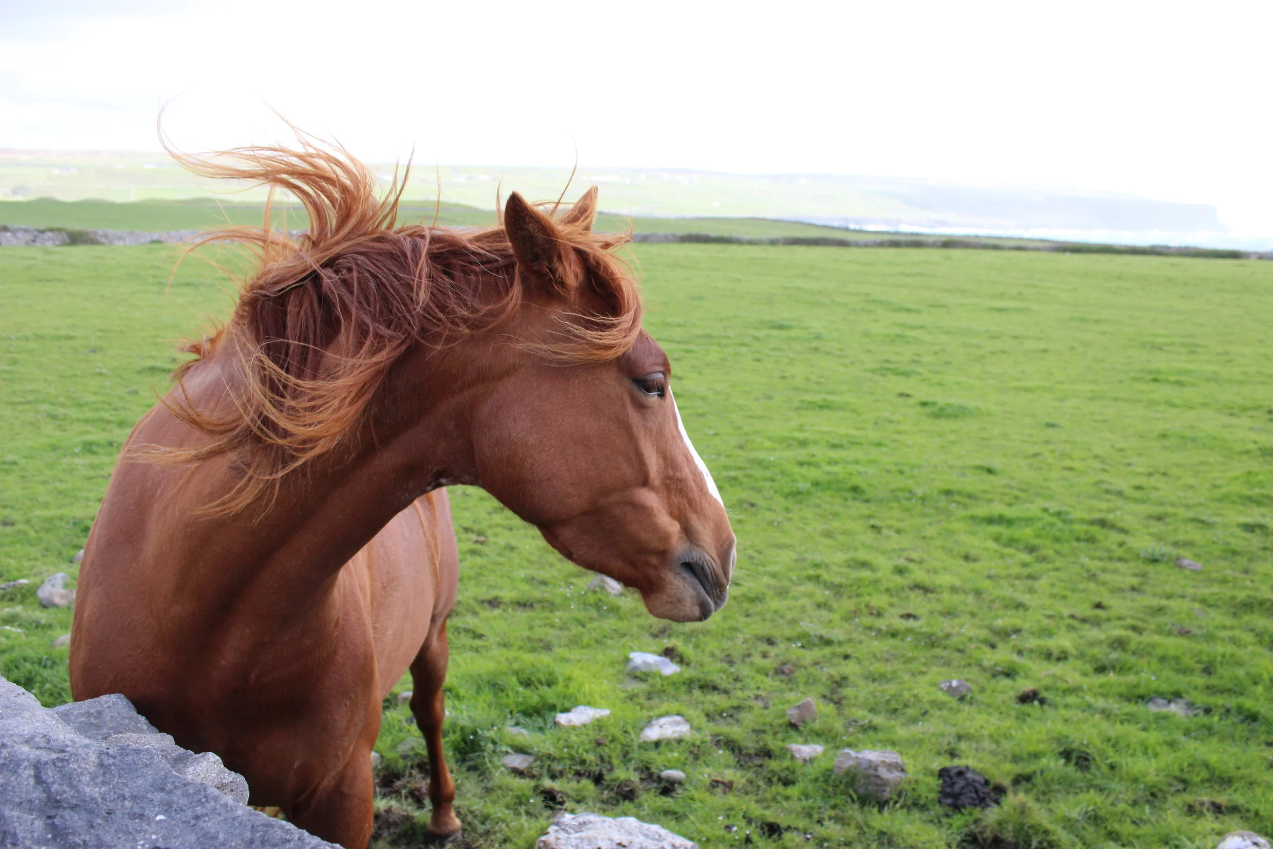 Episode 1 of Sit With: Breathe and Be AWAKE in the World