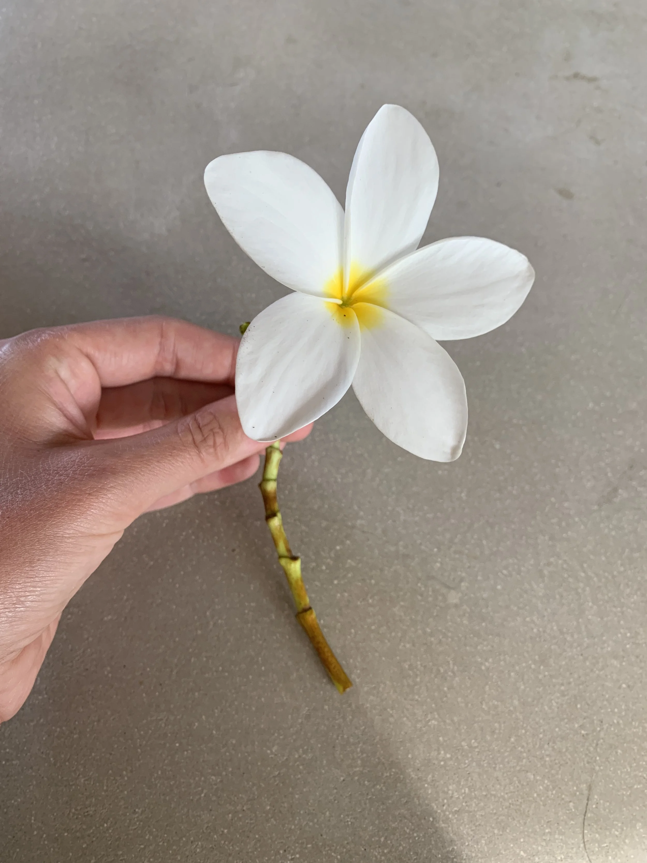 Sit With: Persistence