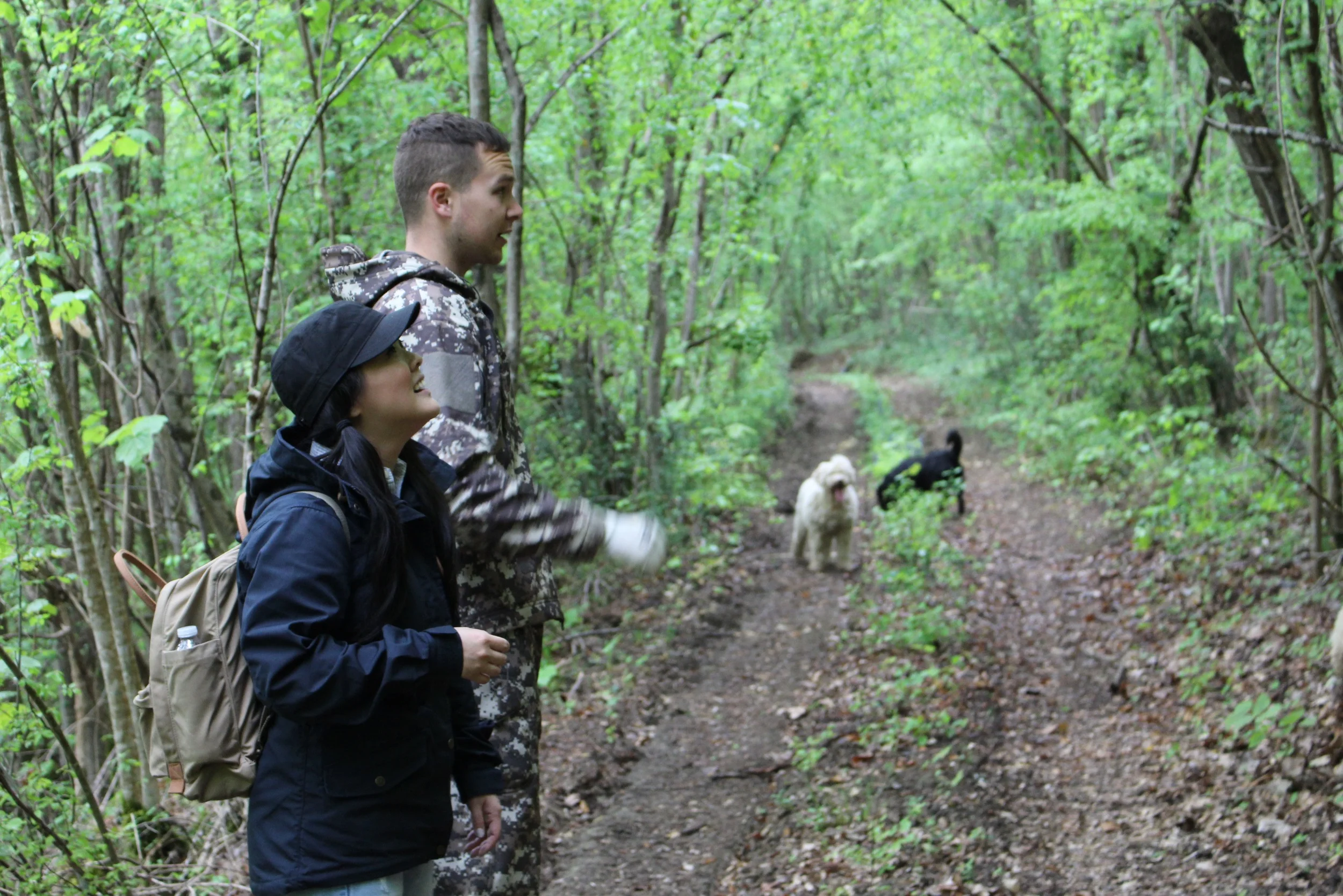 Truffle Hunting in Istria