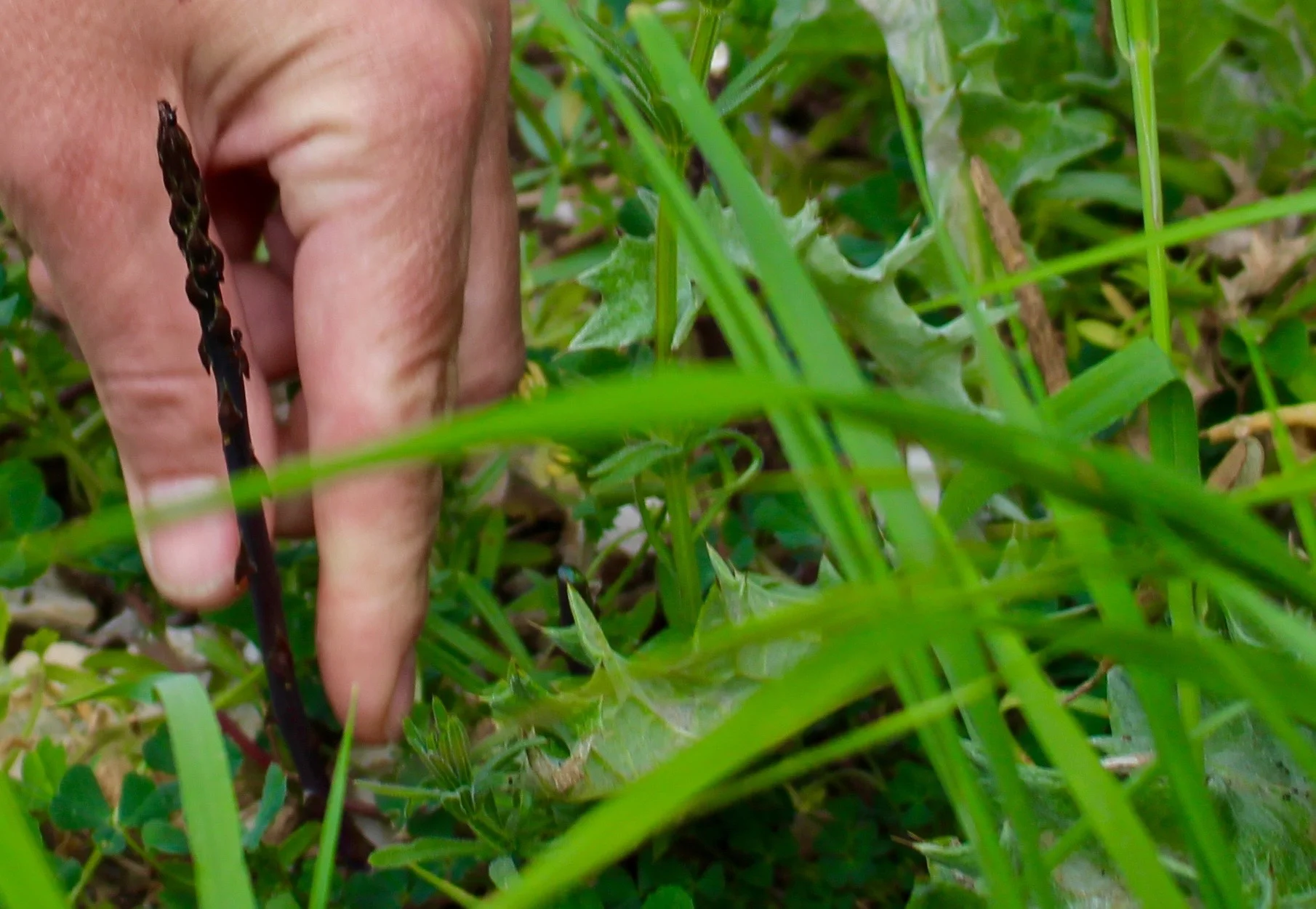 Istria, Croatia: Day 2