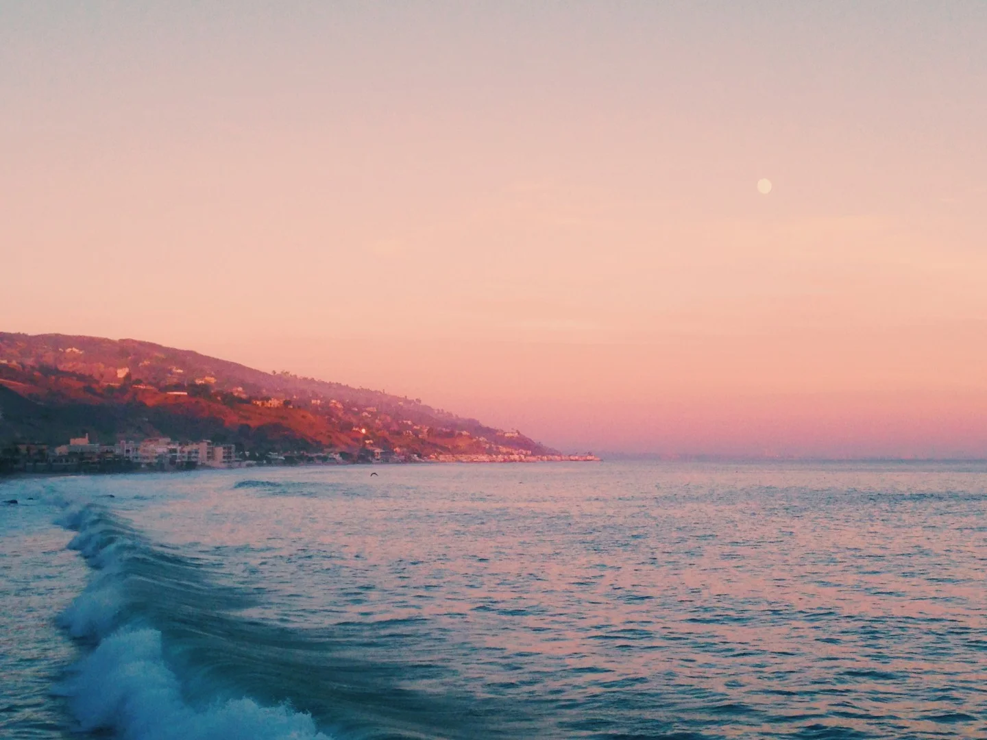 The Beginner's Guide To L.A.