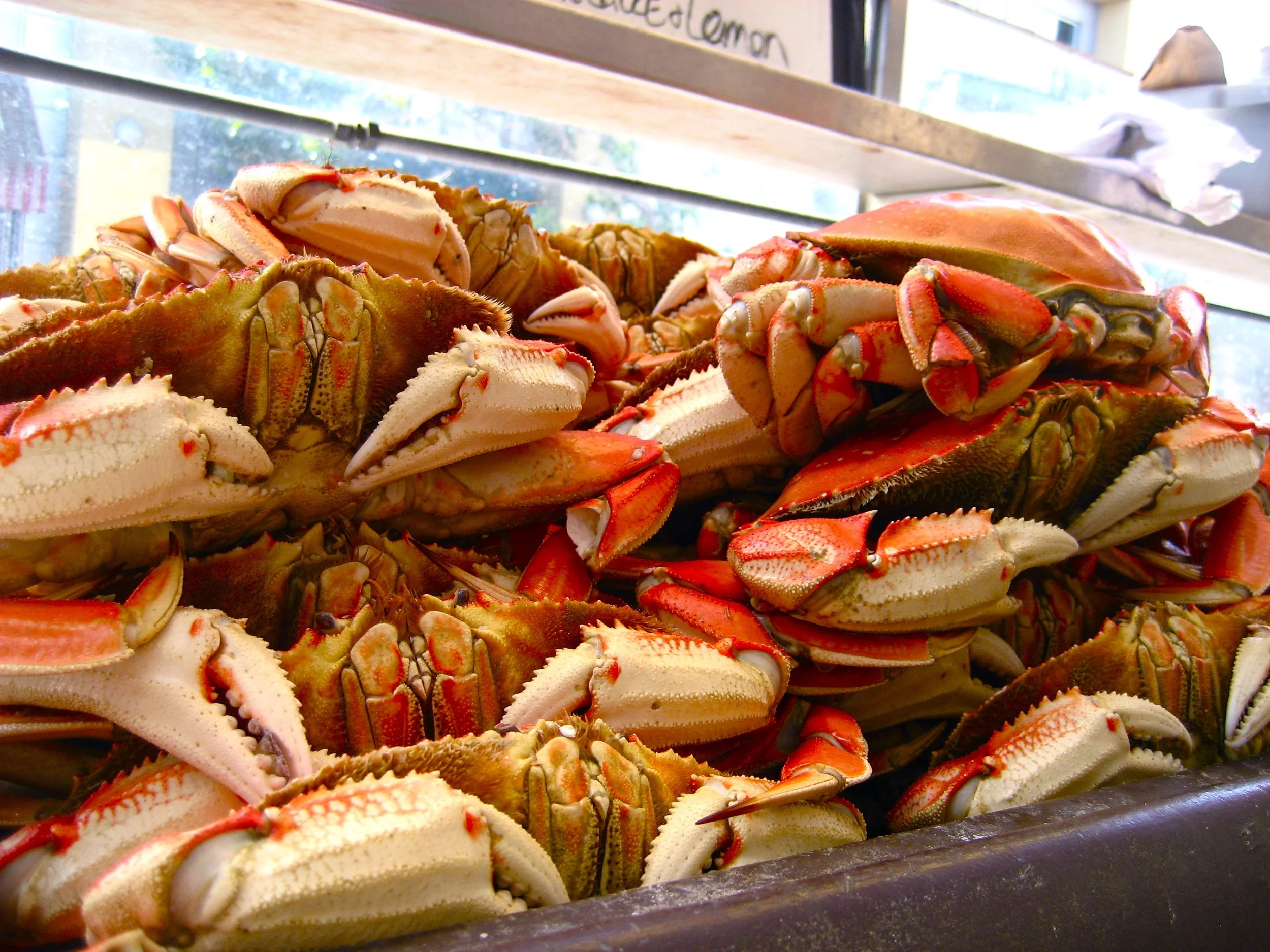 Outside Lands in San Francisco