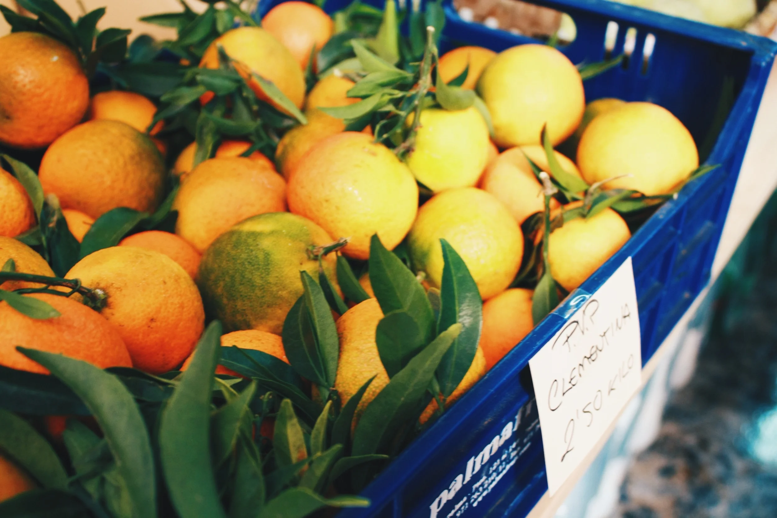 Mallorca Highlights: Sòller